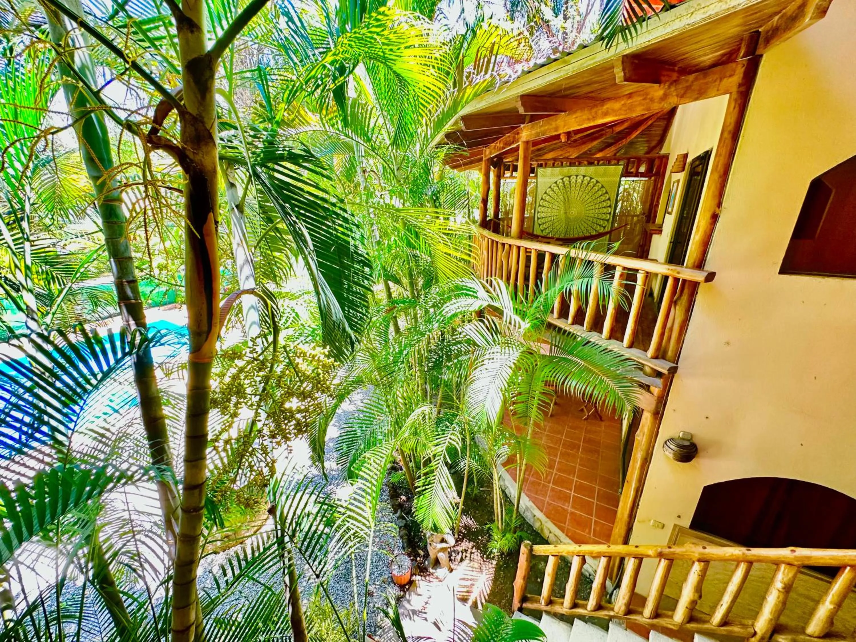 Garden view in Pacifica Surf Studios