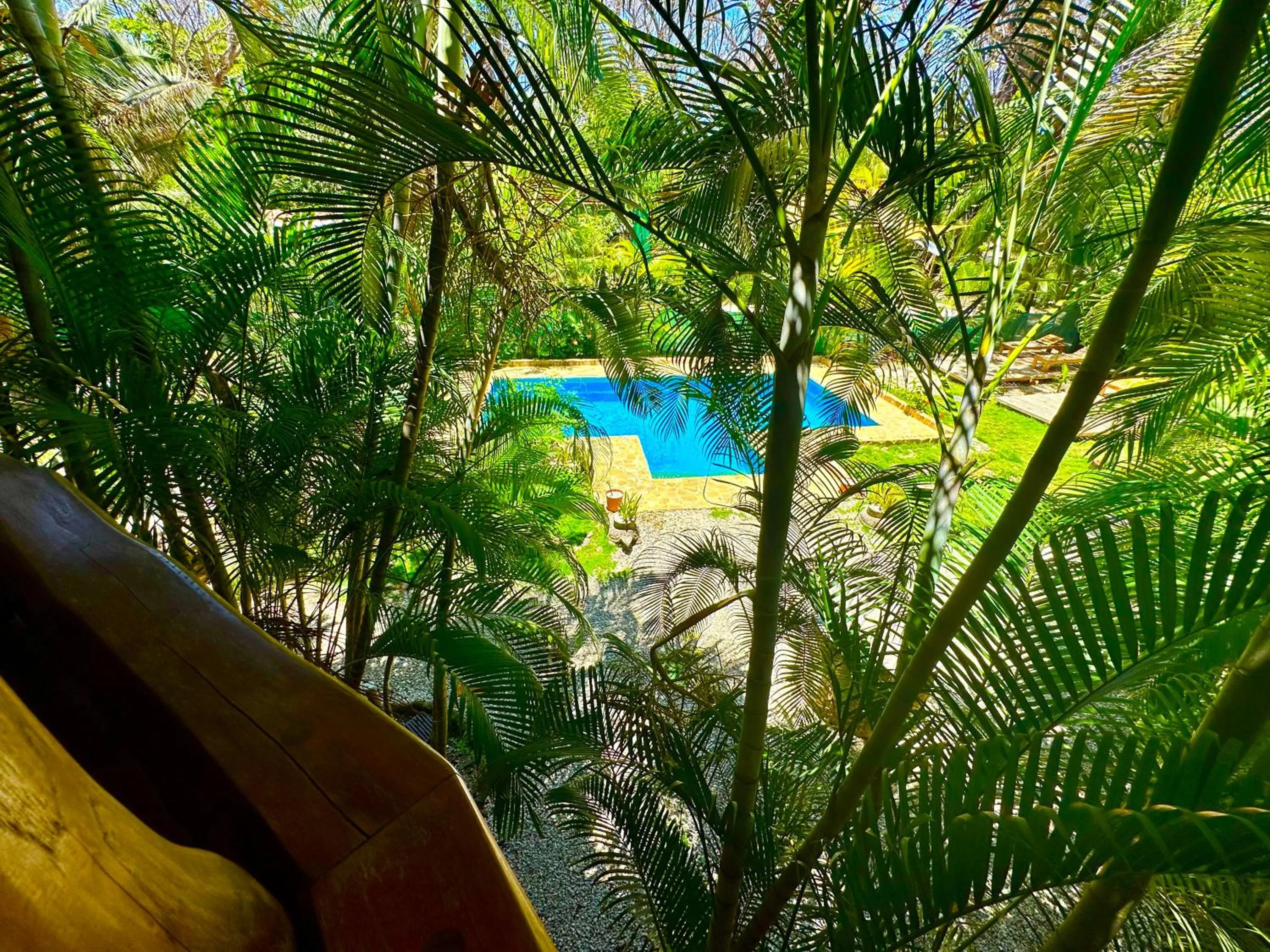 Garden view in Pacifica Surf Studios