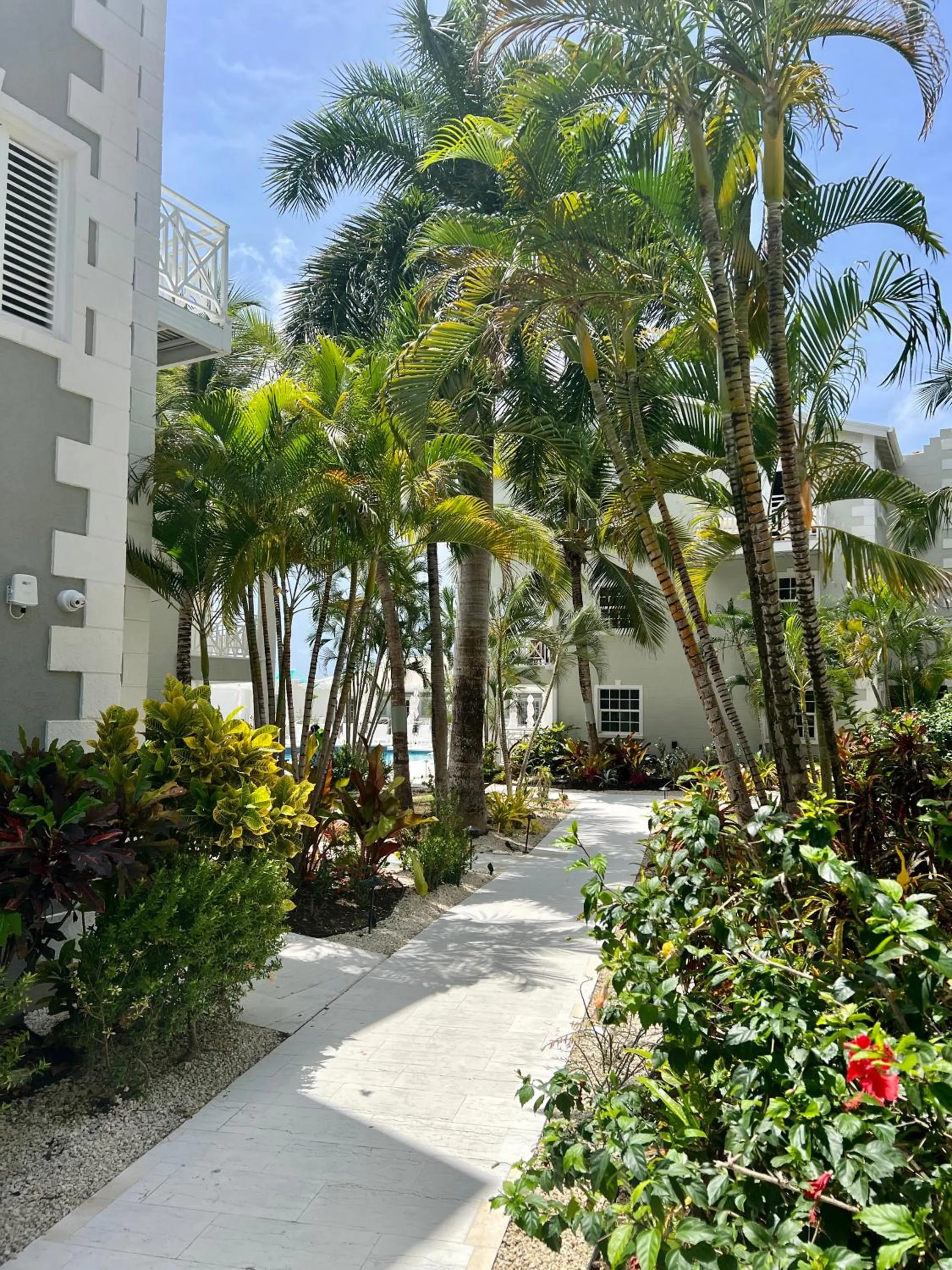 Day in South Point Hotel Inc