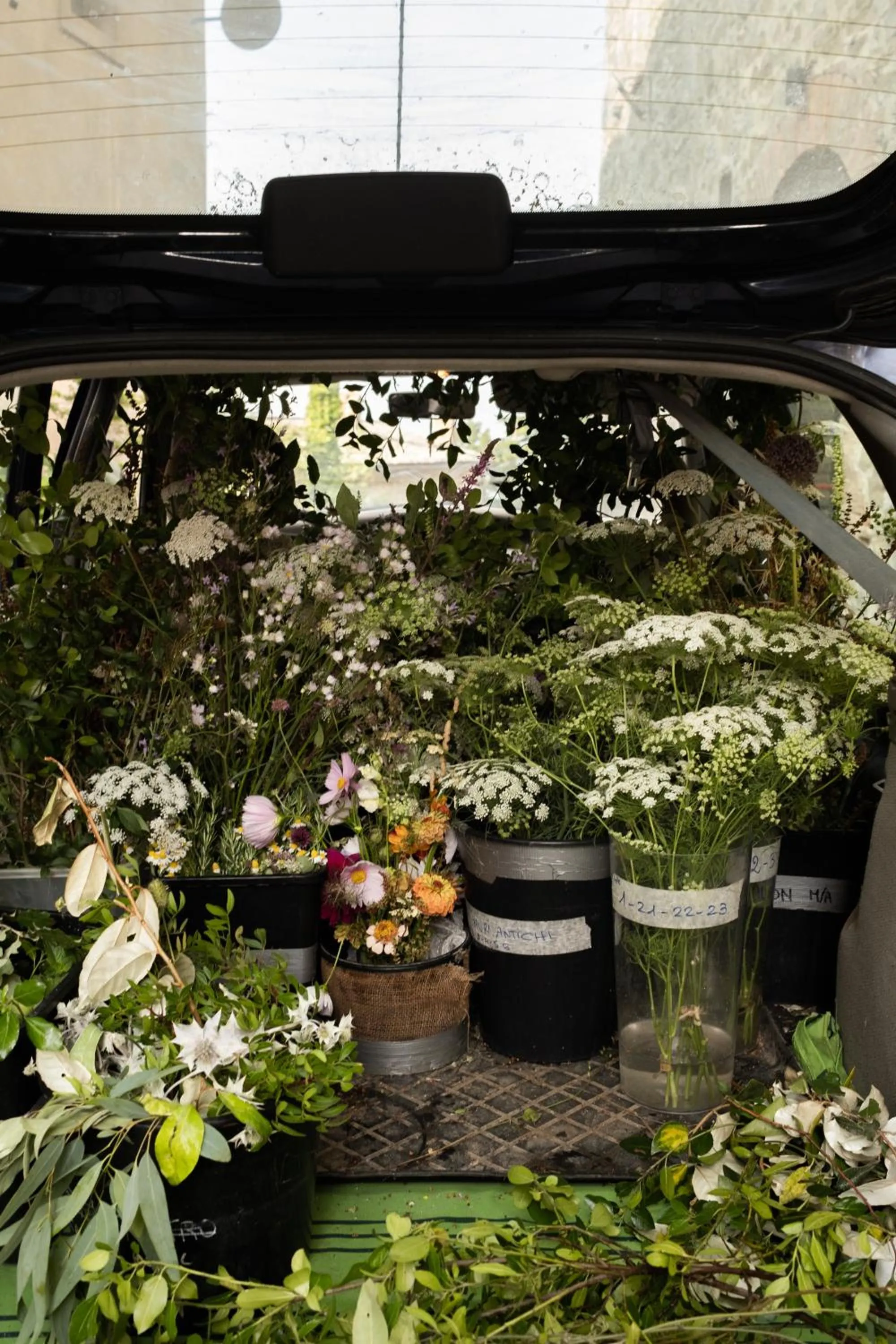 Activities in Monteverdi Tuscany