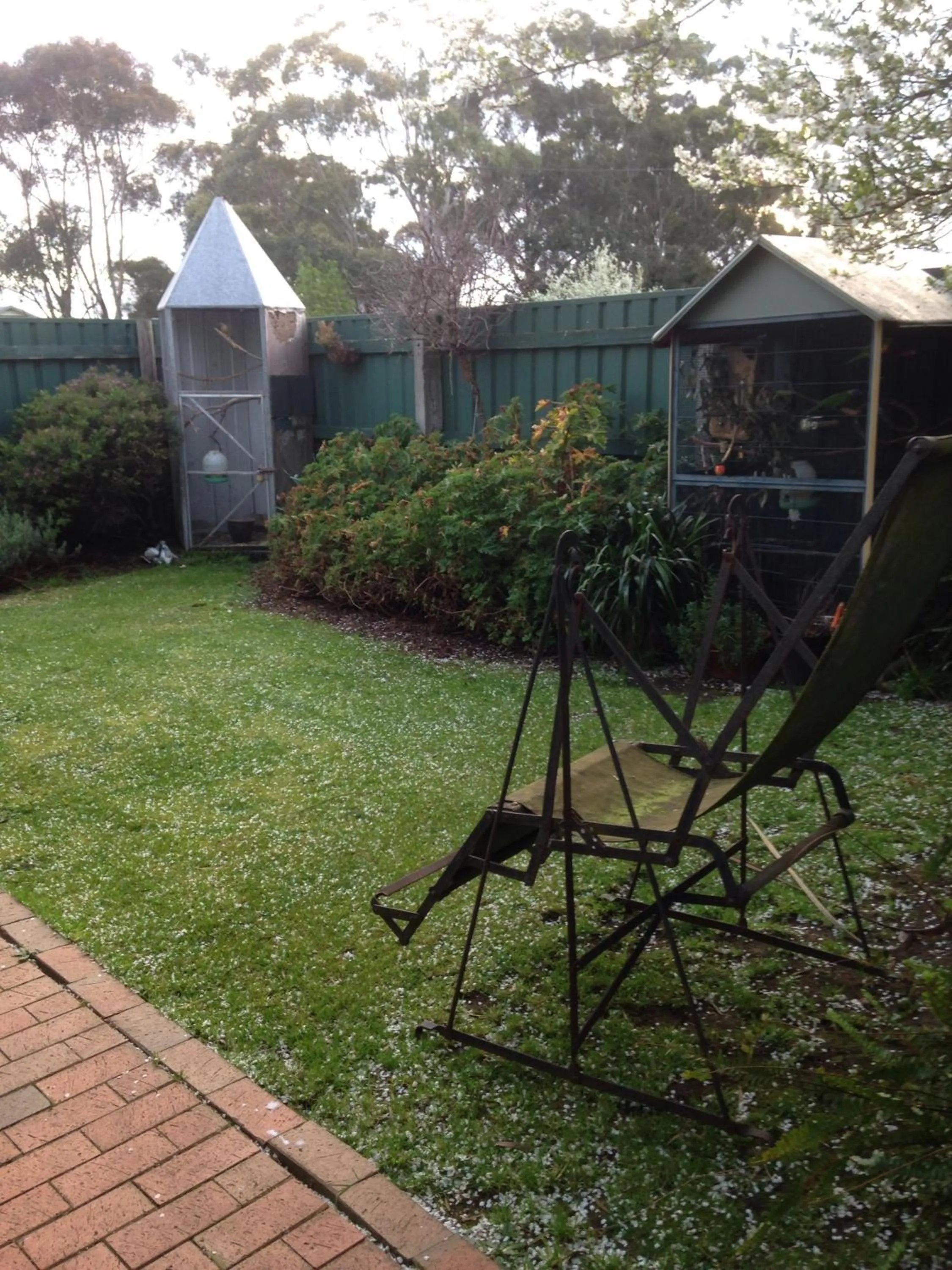 Garden in Butlers Guesthouse