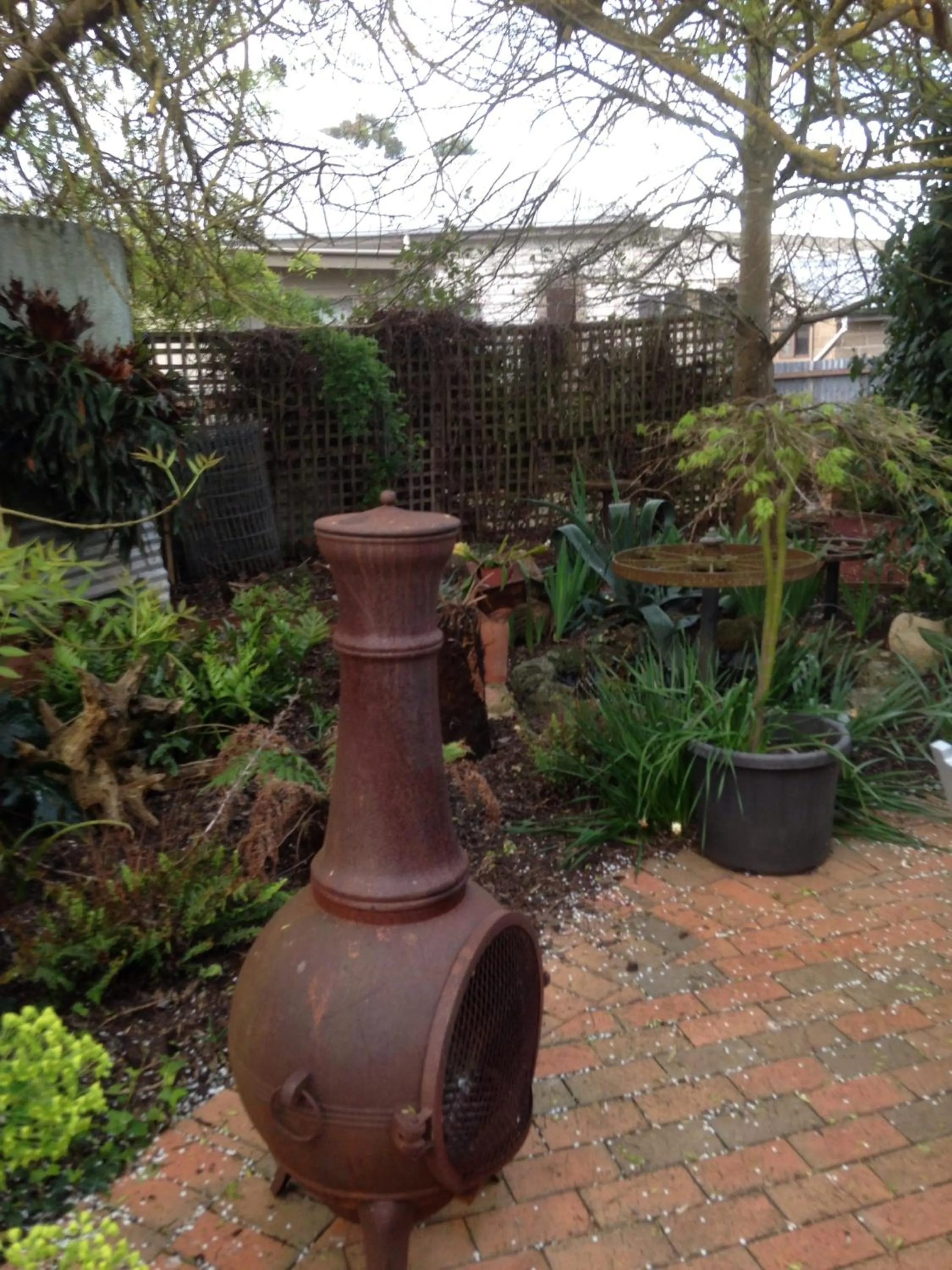 Garden in Butlers Guesthouse