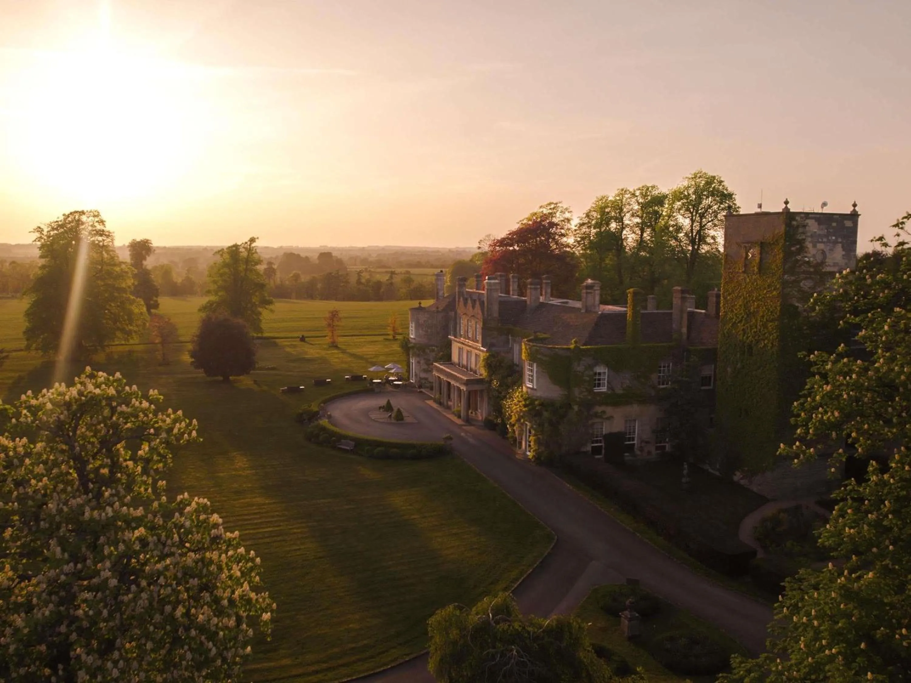 Other in Lucknam Park, Emblems Collection
