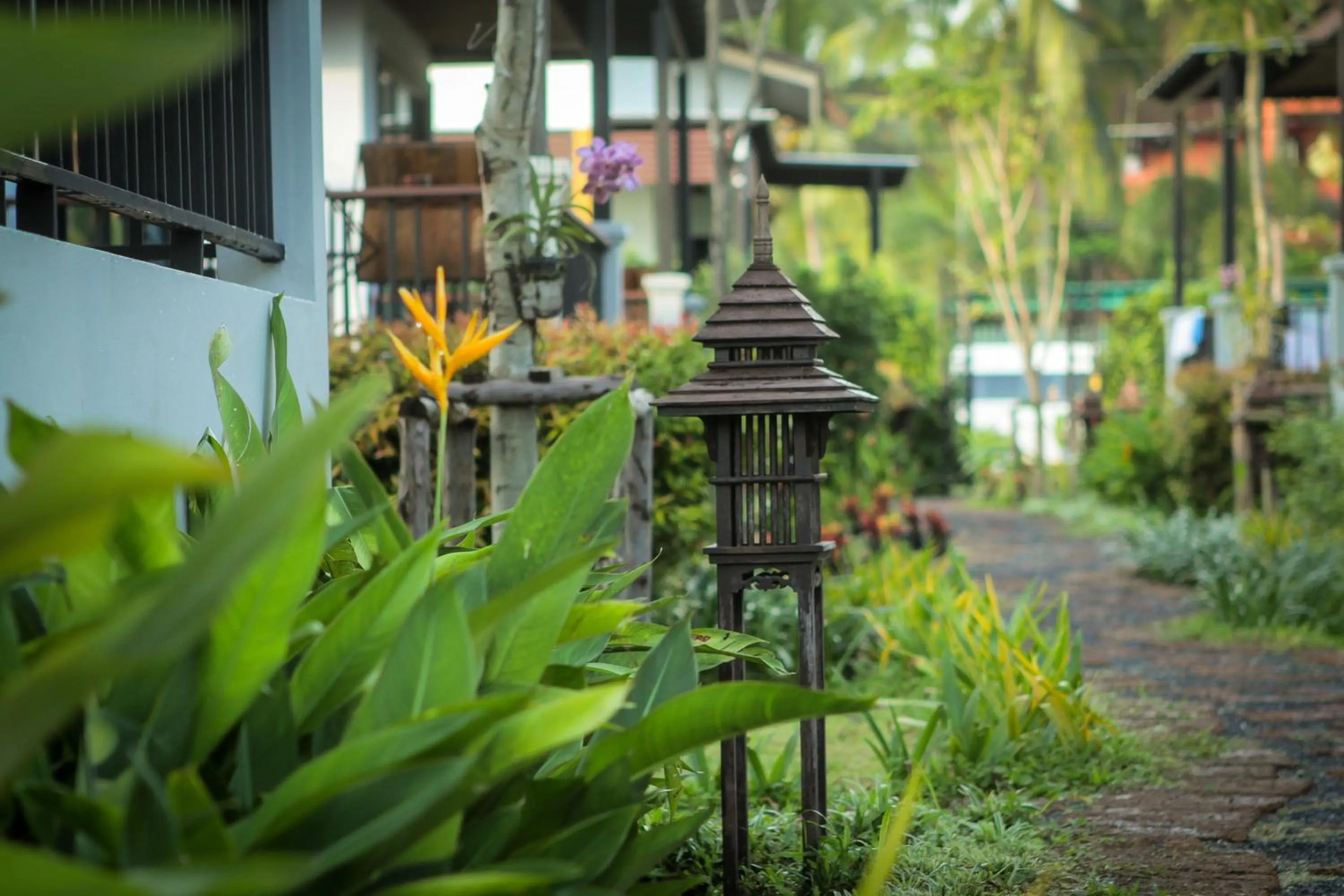 Garden in Himaphan Boutique Resort - SHA EXTRA PLUS