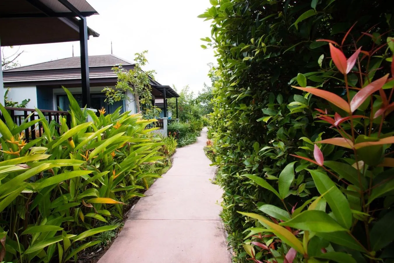 Inner courtyard view in Himaphan Boutique Resort - SHA EXTRA PLUS