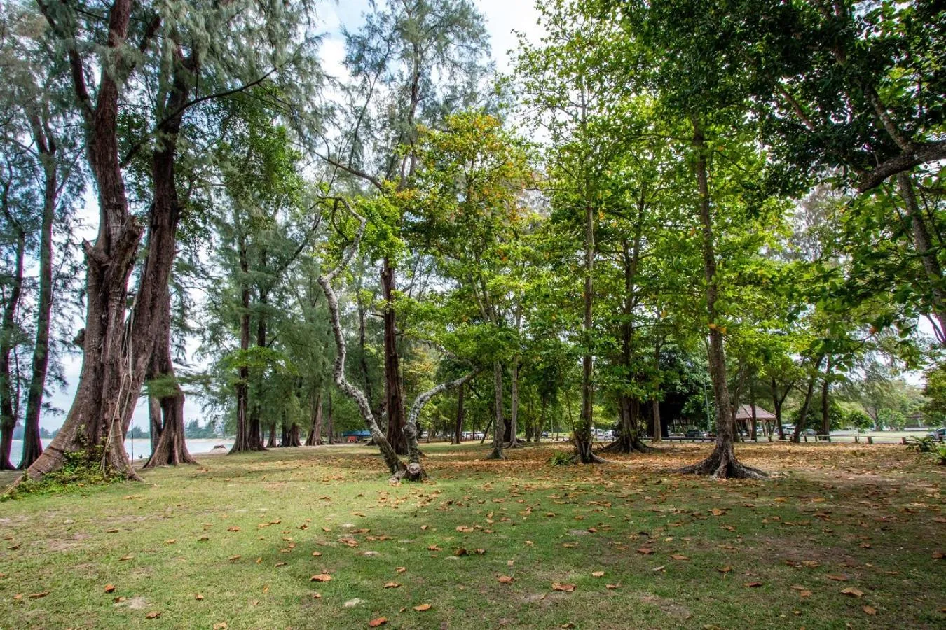 Nearby landmark in Himaphan Boutique Resort - SHA EXTRA PLUS