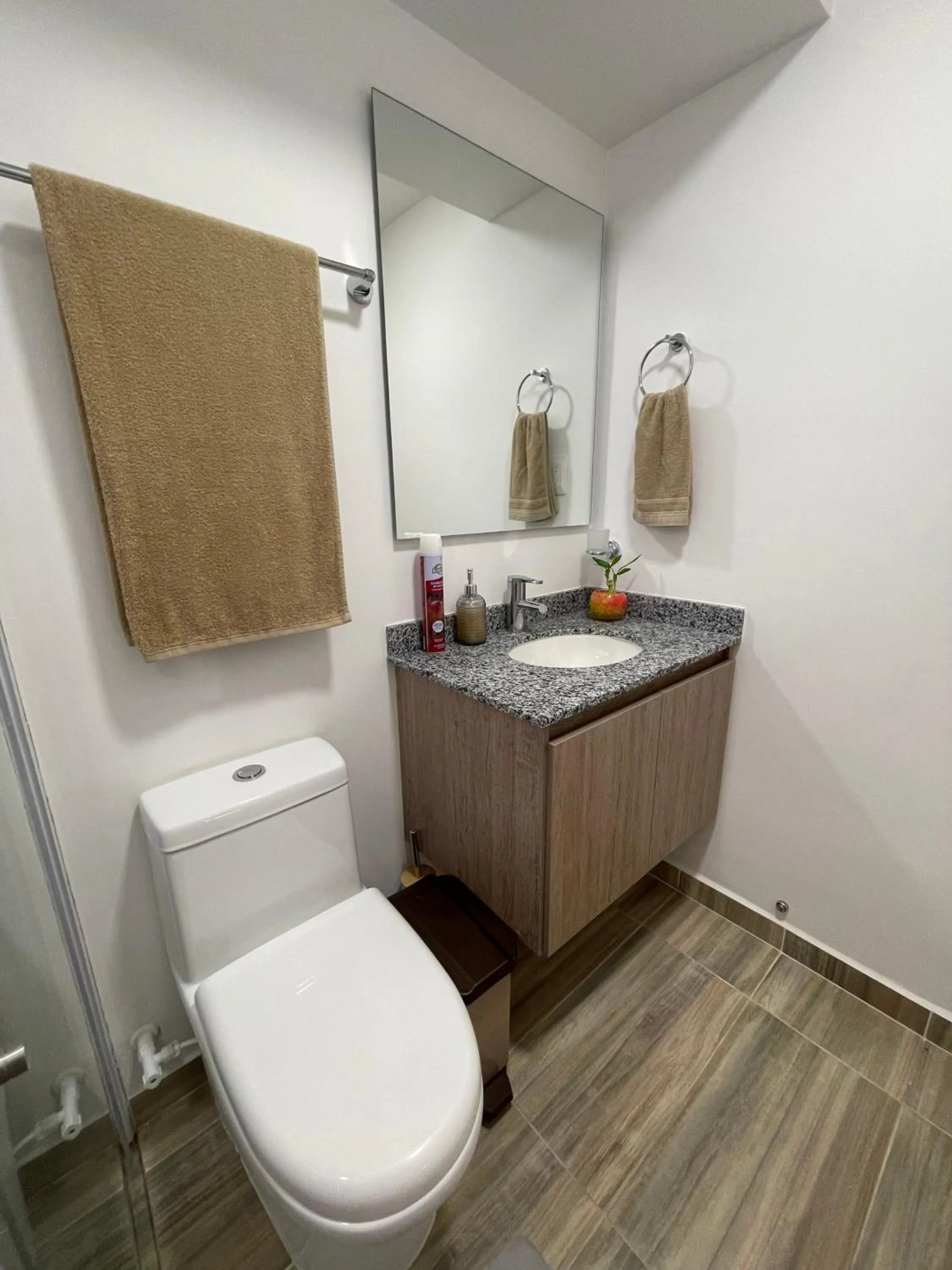 Bathroom in Acogedor apartamento cerca de clínica en F/blanca