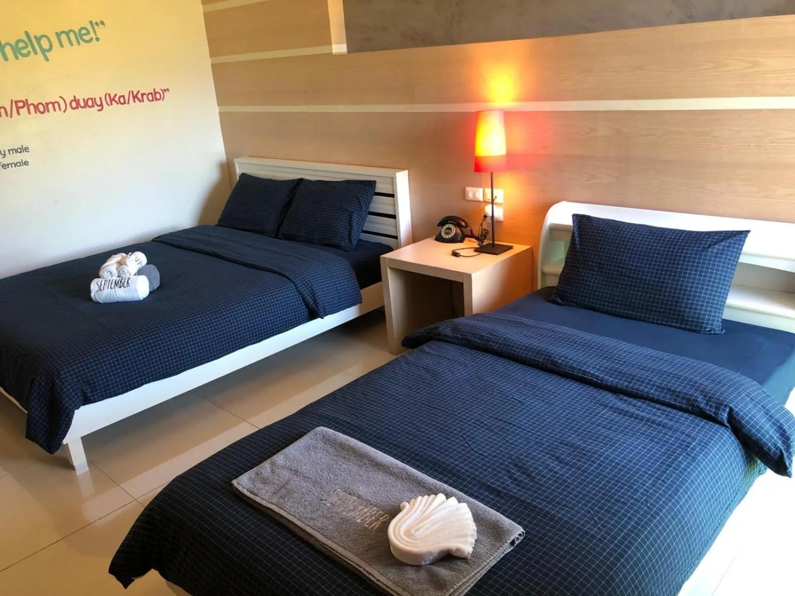 Small shells patong Phuket