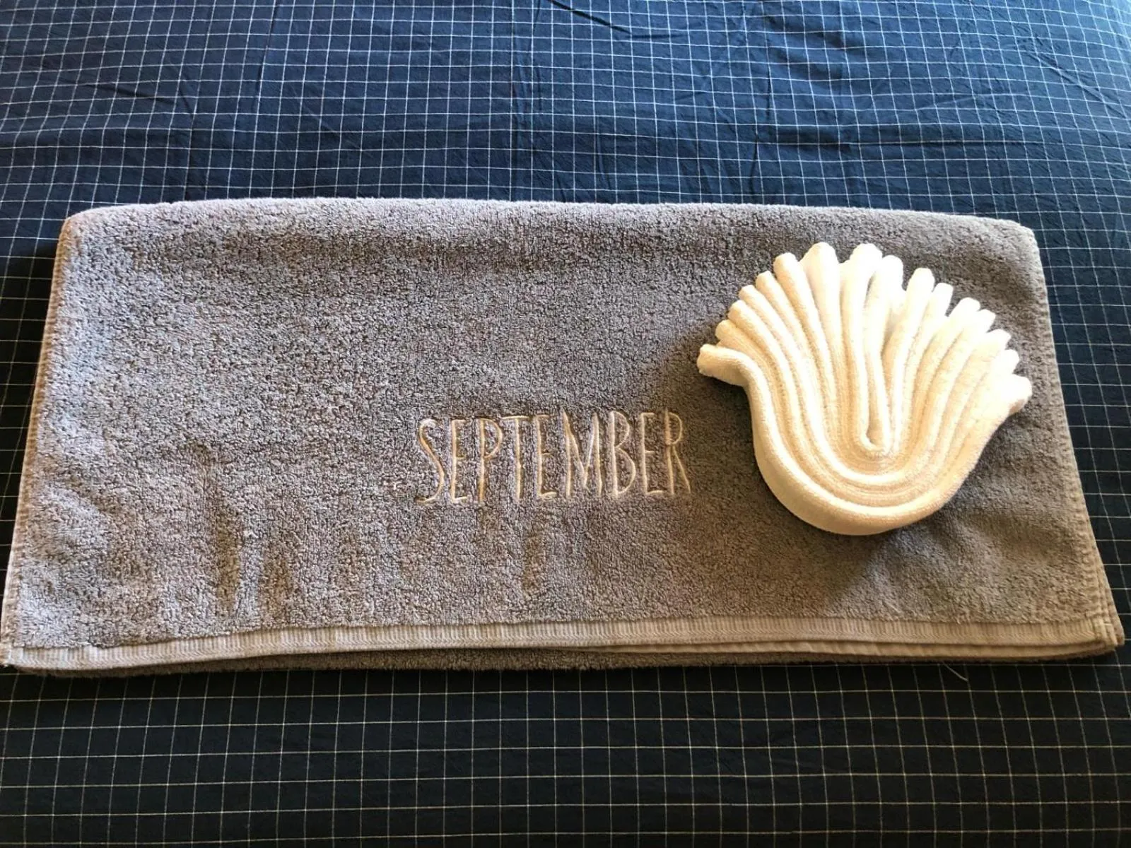 Small shells patong Phuket