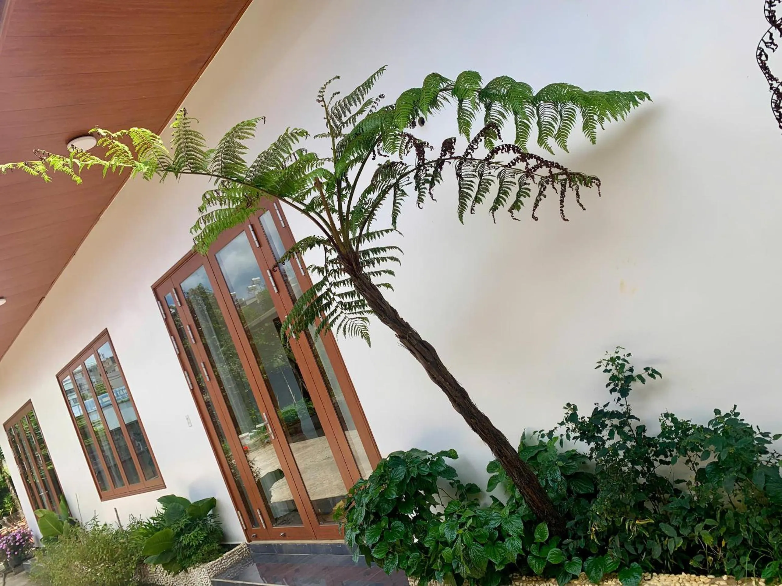 Garden in Pin's House