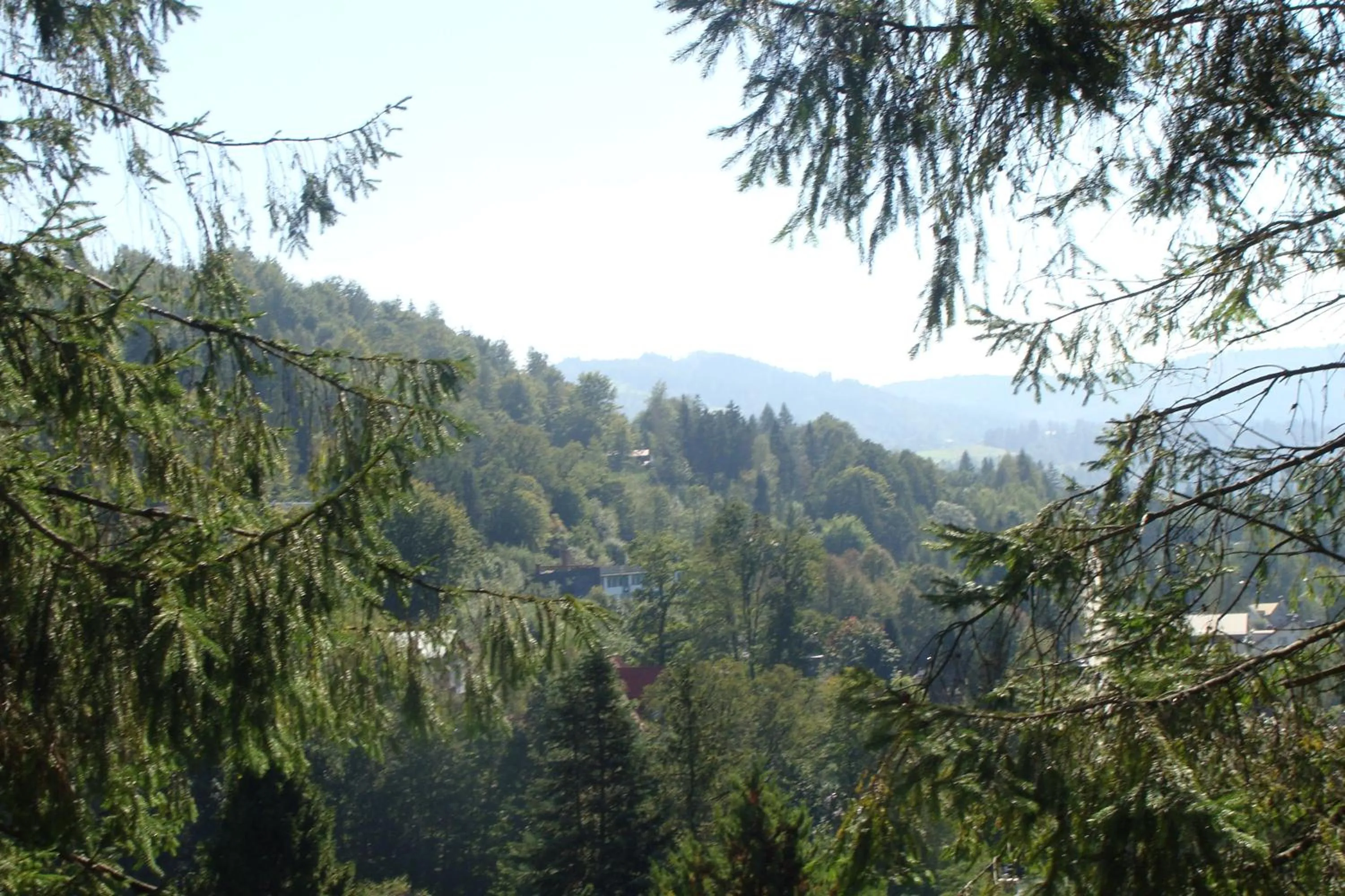 Spring in Willa Melisa