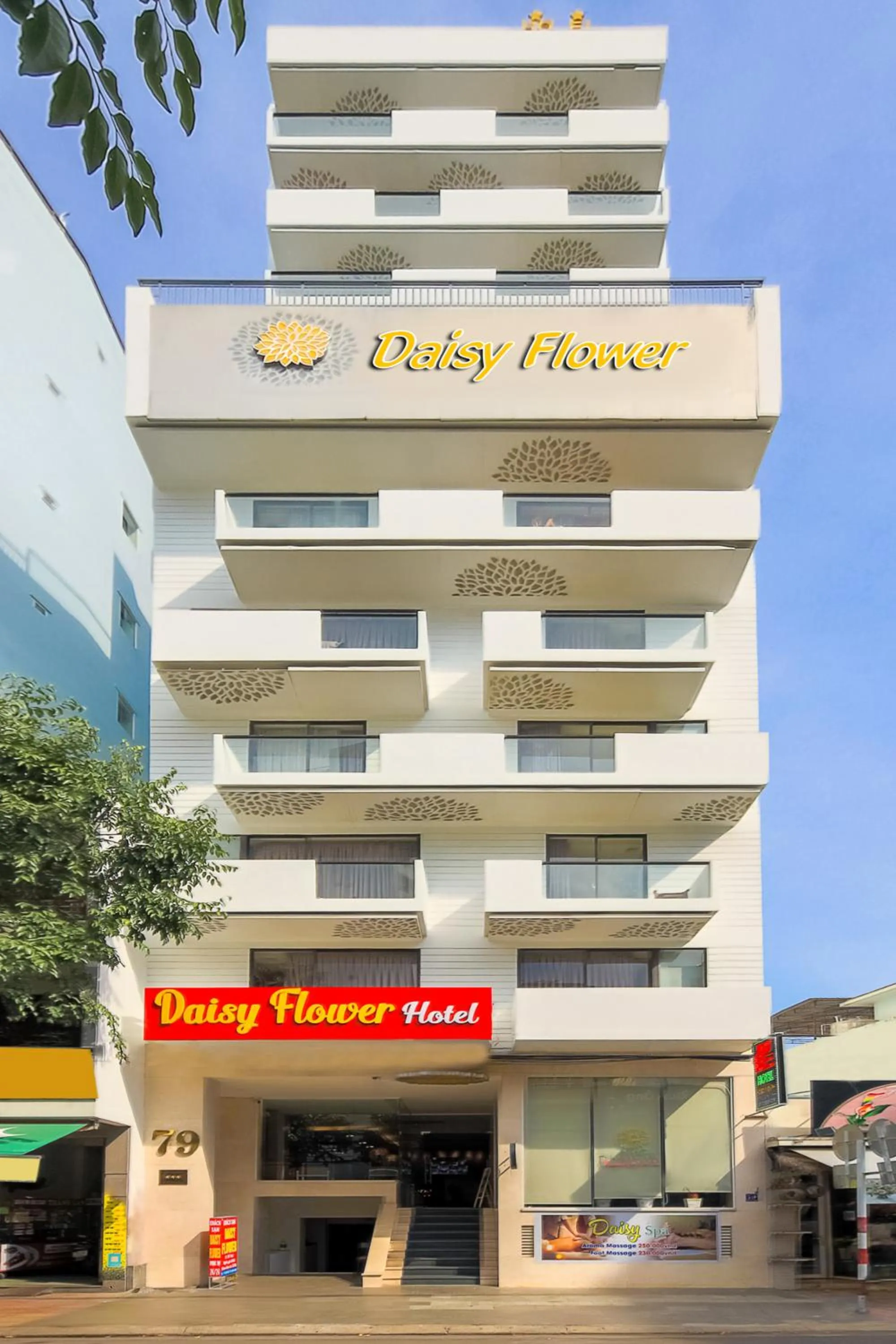 Daisy Flower Nha Trang