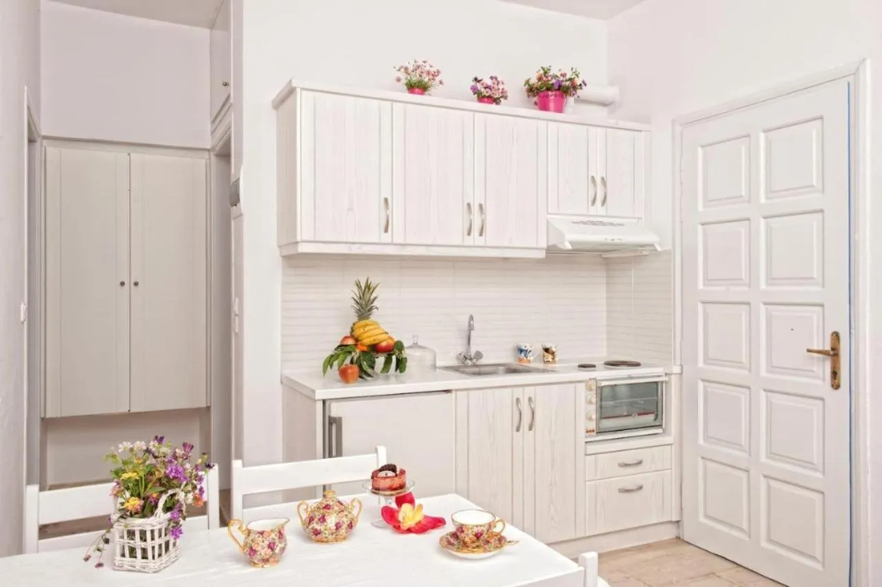 Kitchen or kitchenette in Galini Studios and Apartments