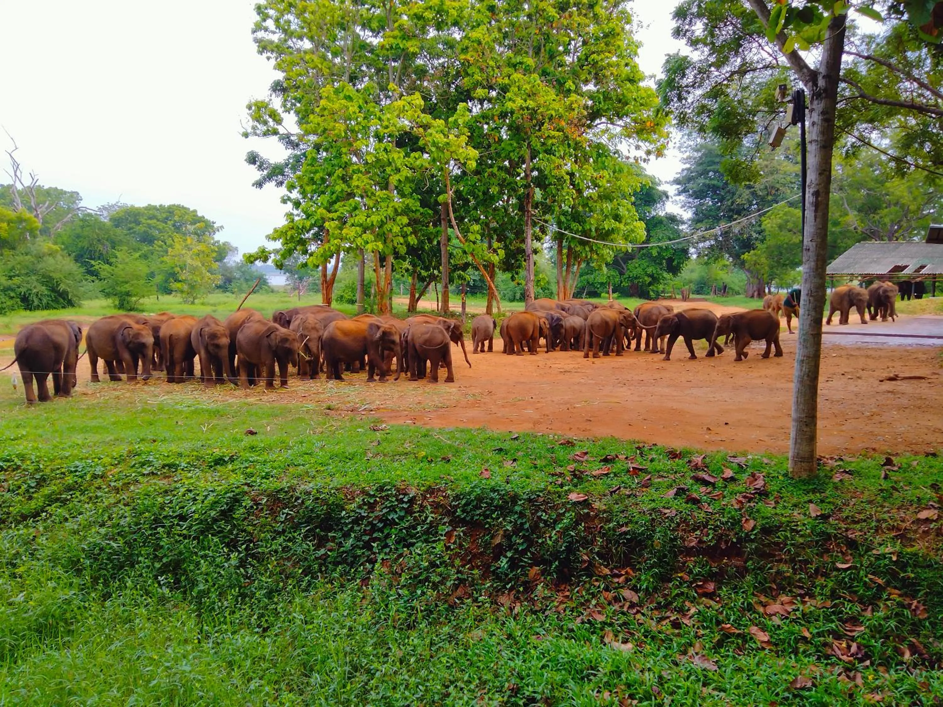 Nil Diya Mankada Safari Lodge