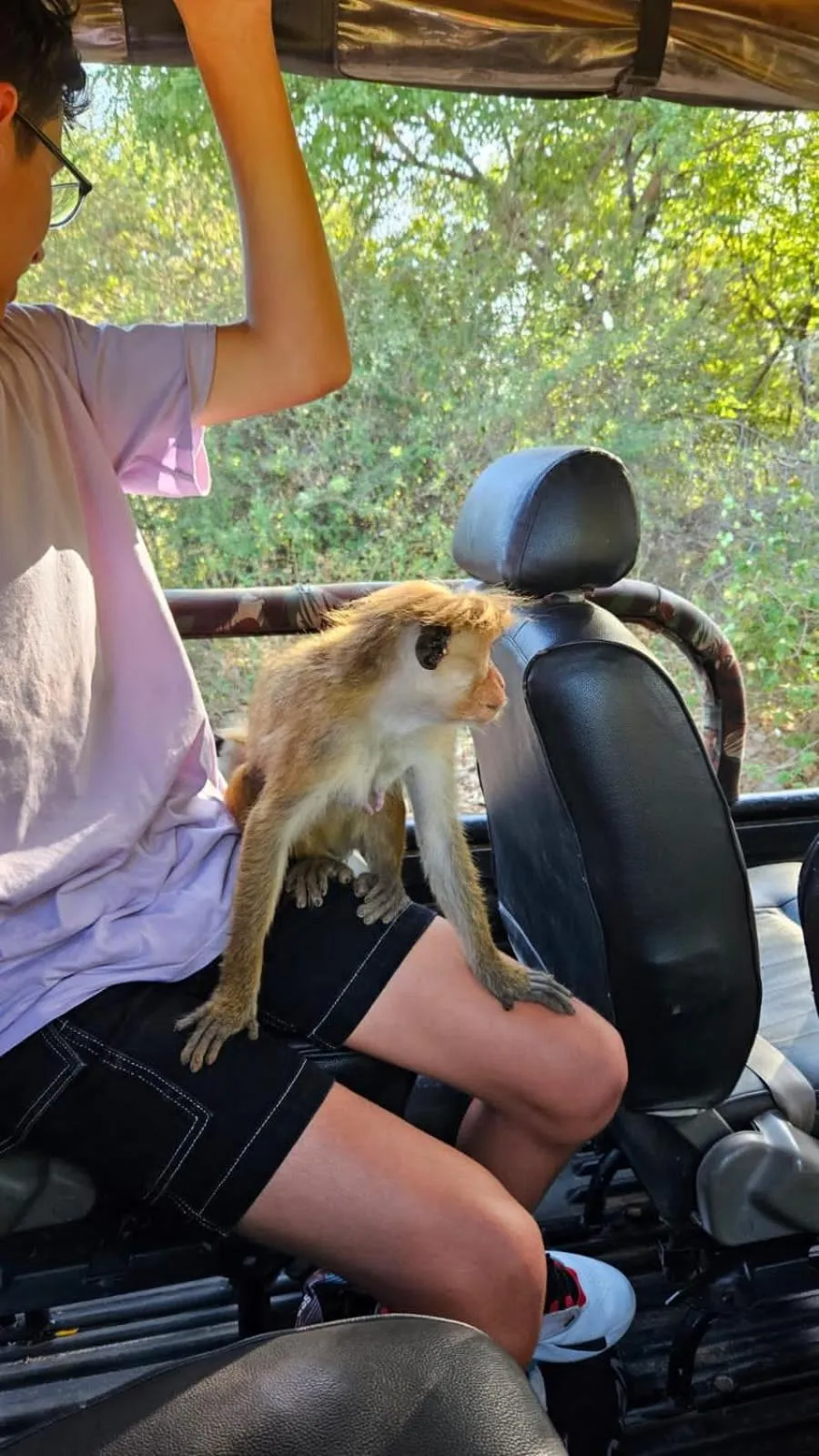 Nil Diya Mankada Safari Lodge