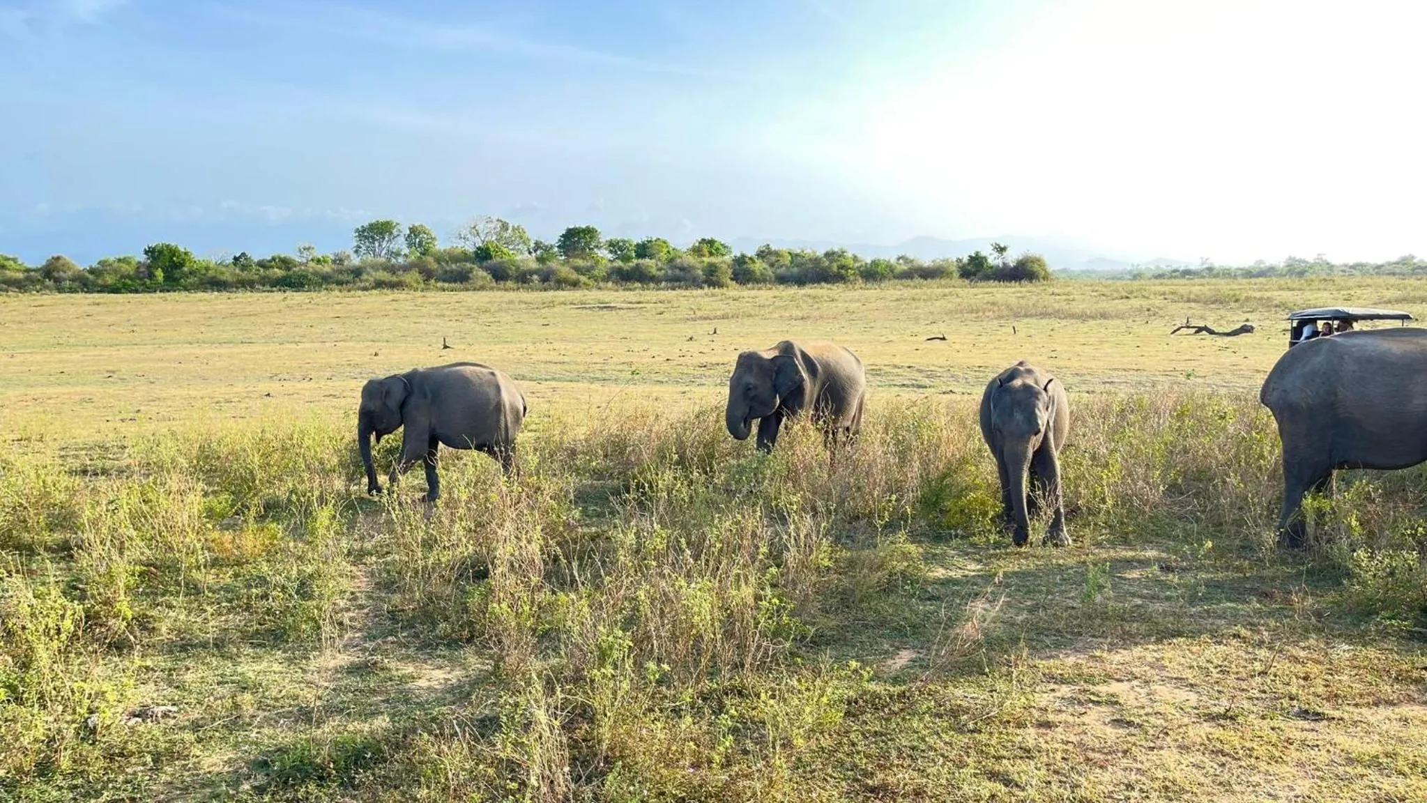 Nil Diya Mankada Safari Lodge