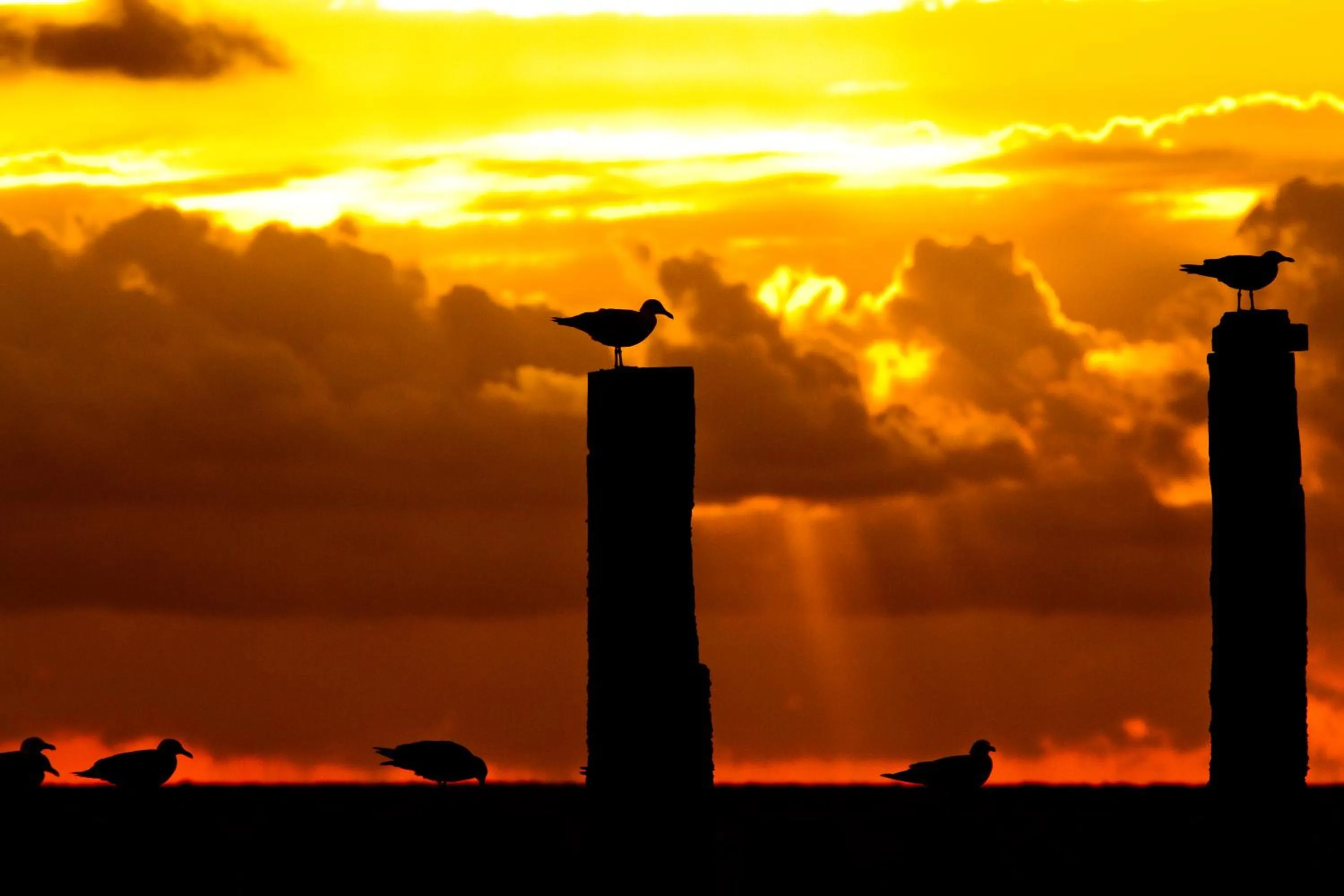 Spring in Hotel Pannenkoekhuis Vierwegen