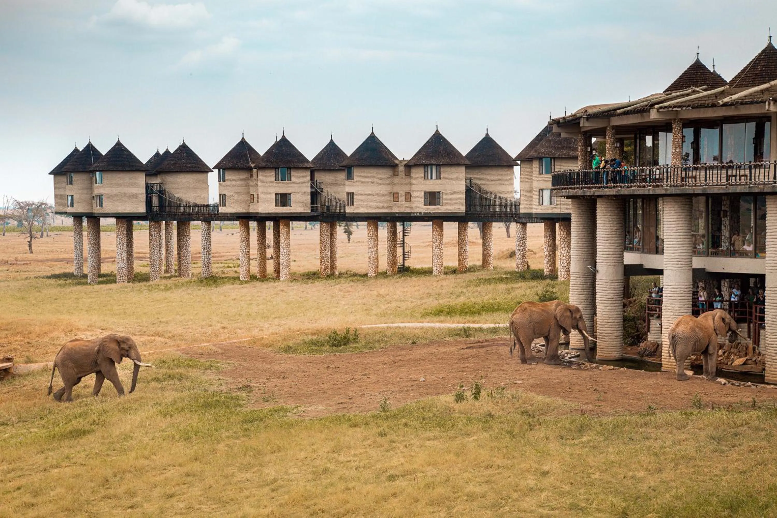 Property building in Salt Lick Safari Lodge