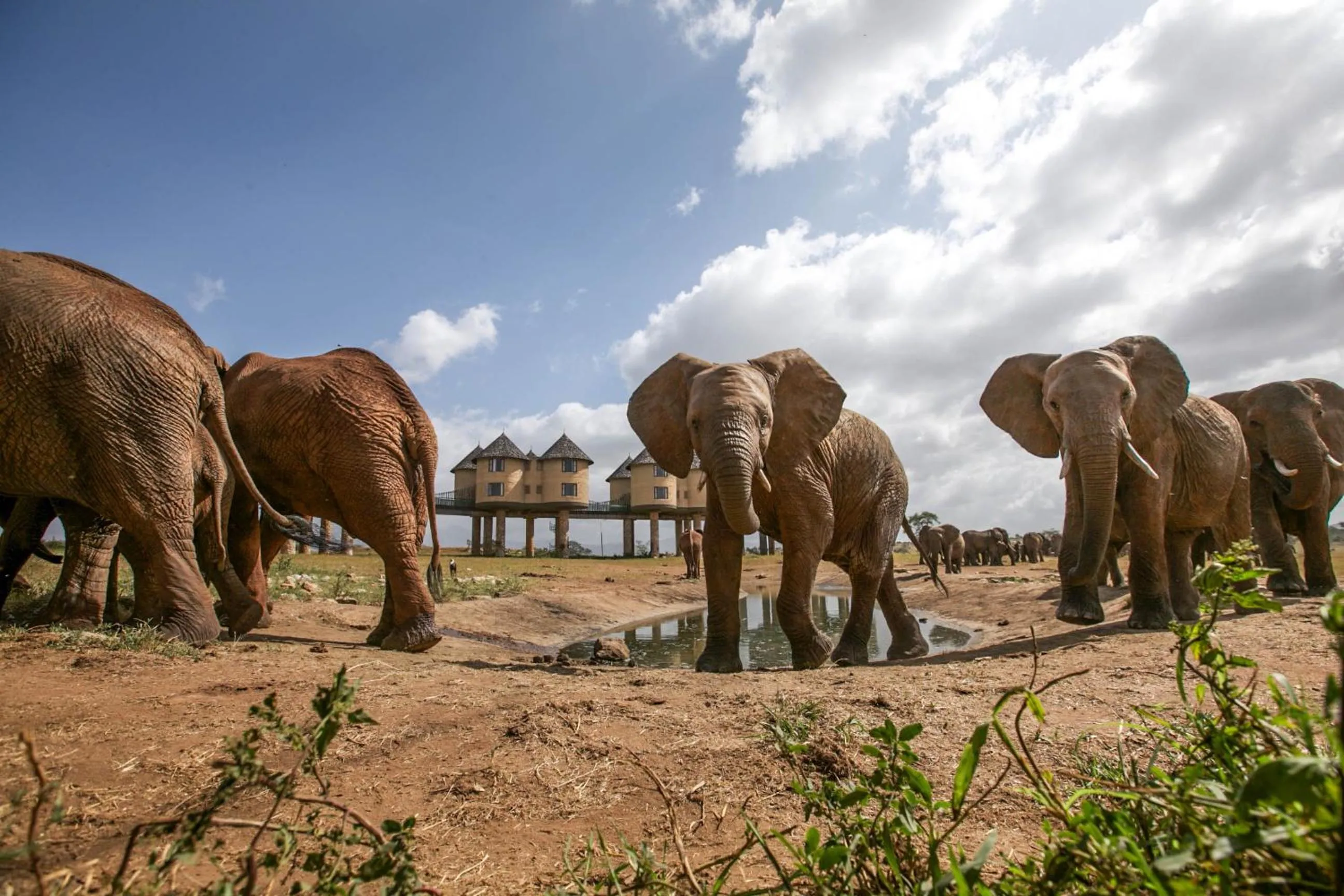 Property building in Salt Lick Safari Lodge