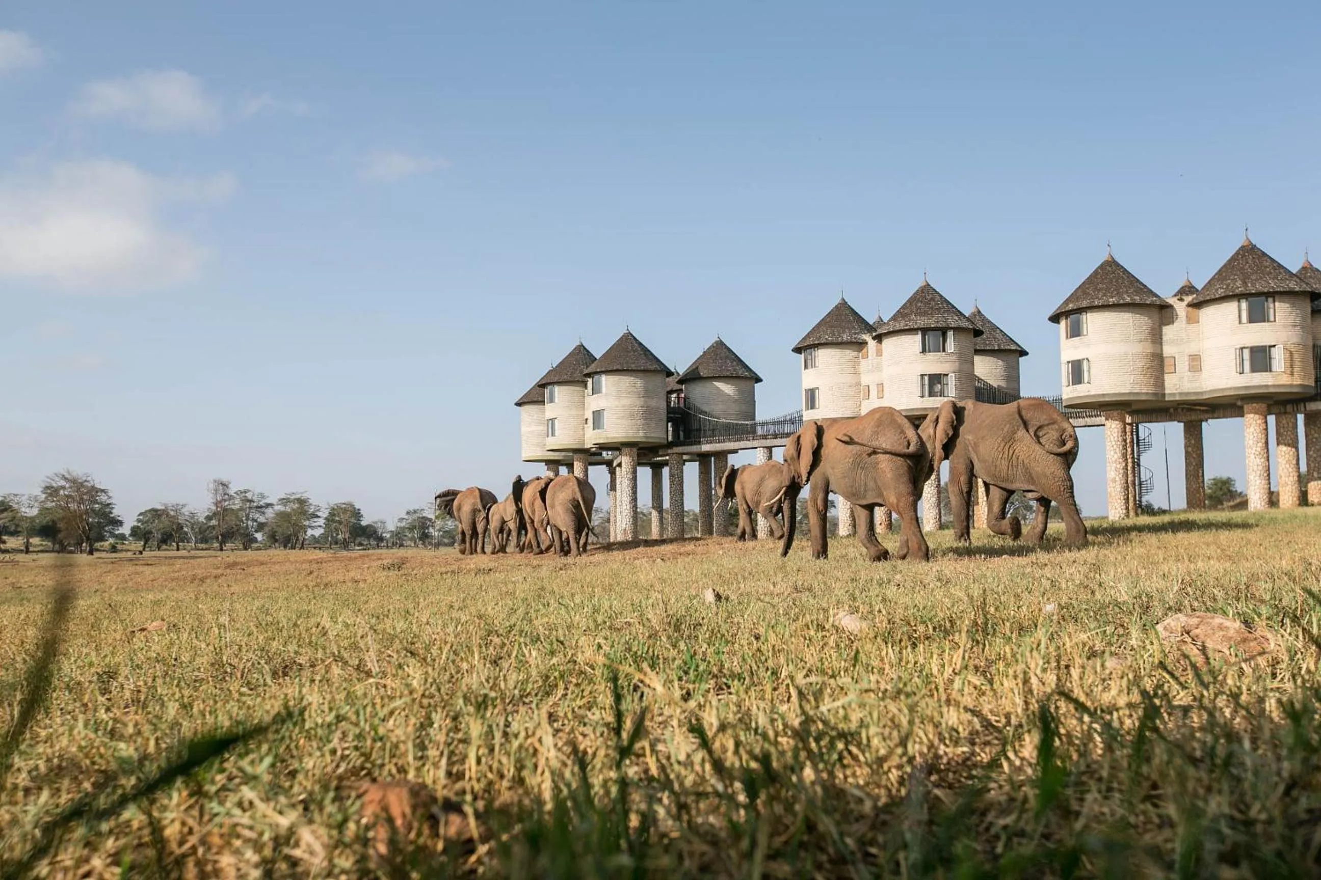 Property building in Salt Lick Safari Lodge