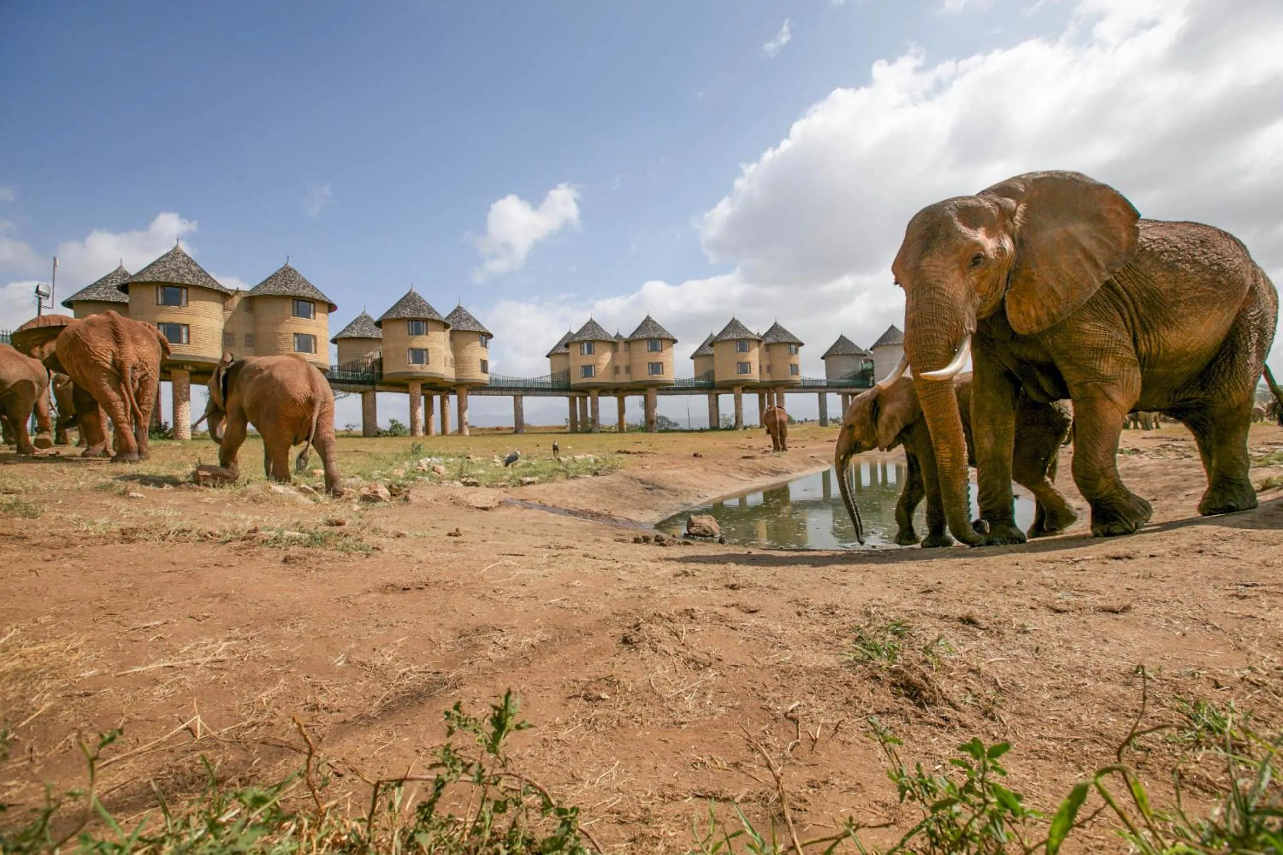 Property building in Salt Lick Safari Lodge