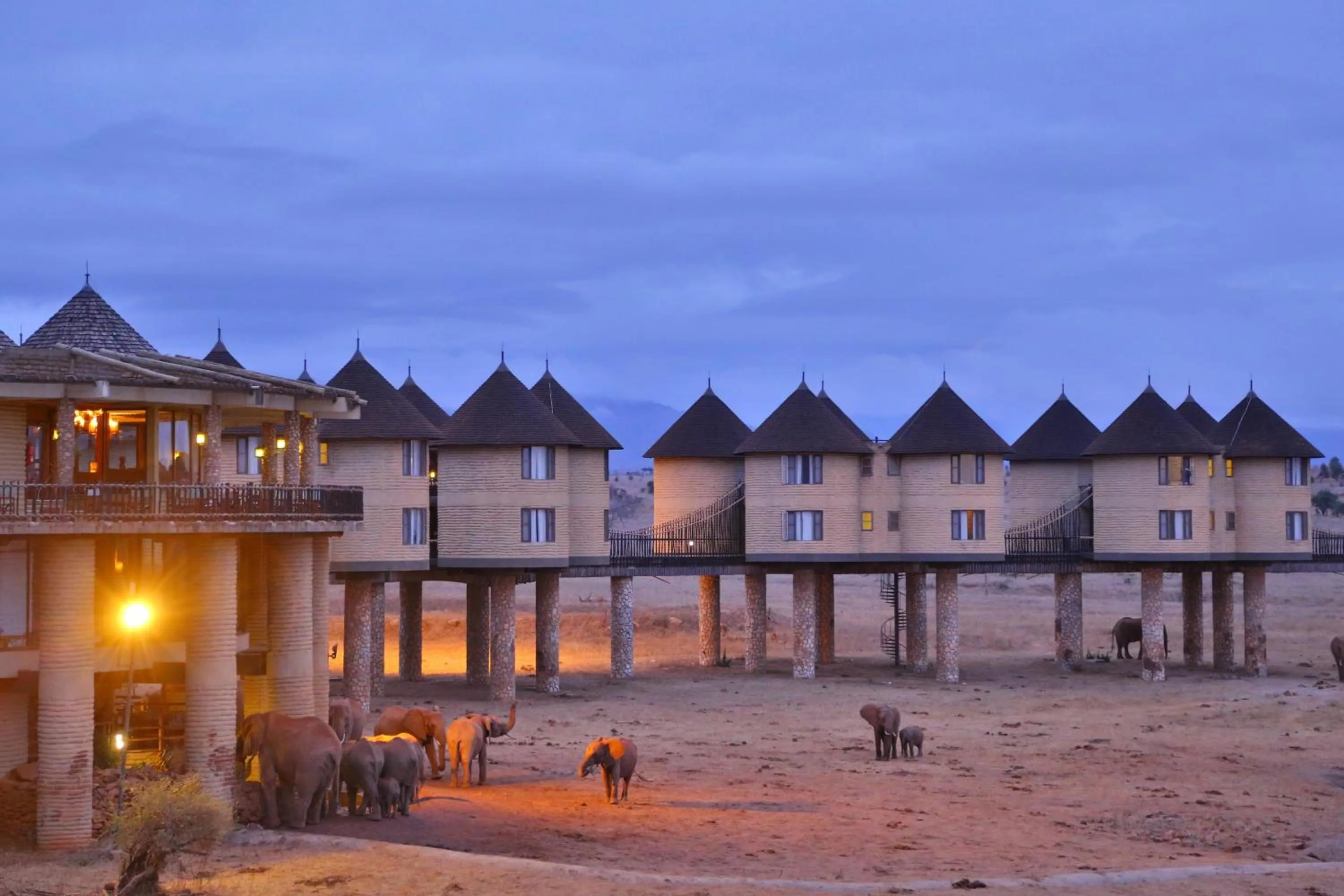 Property building in Salt Lick Safari Lodge