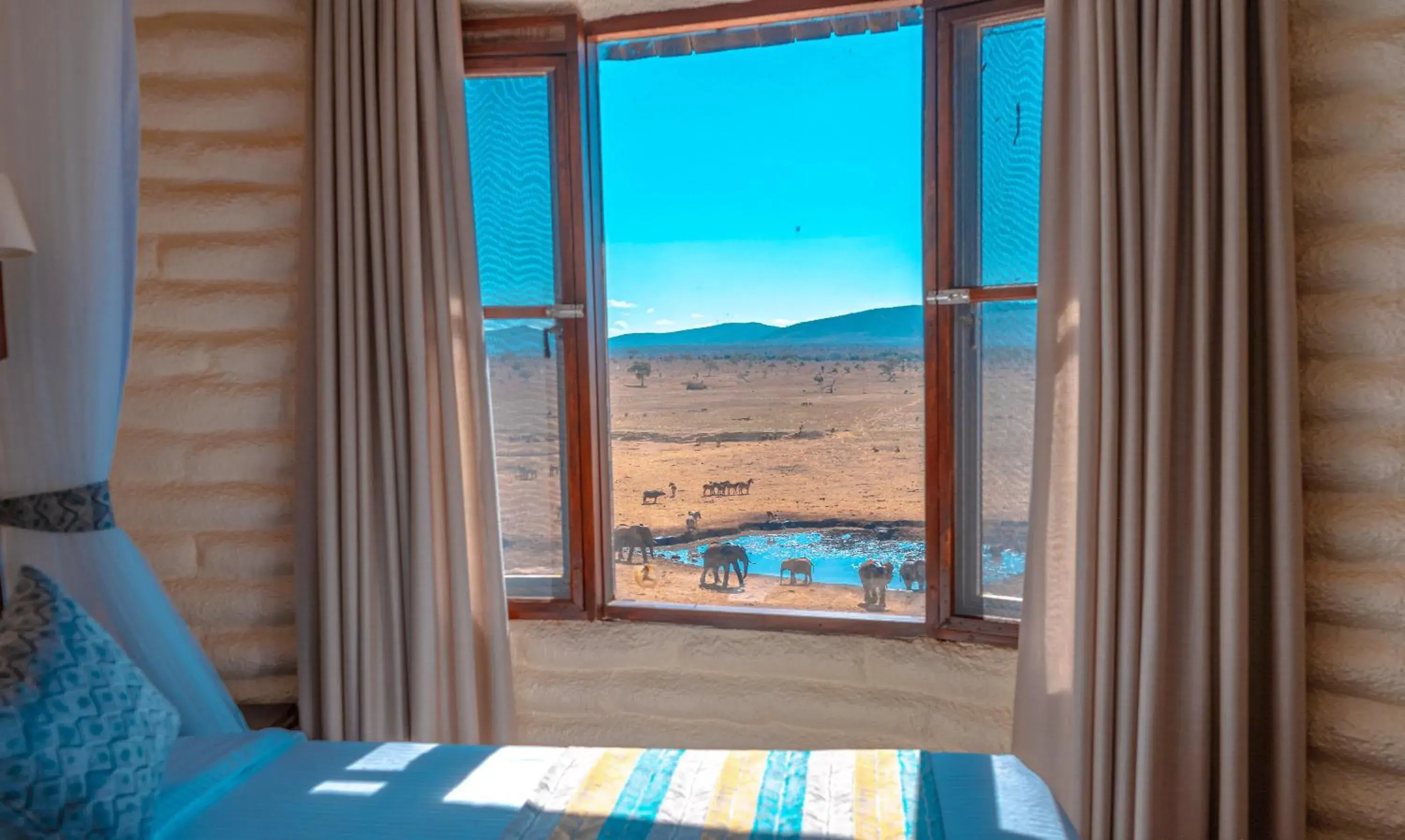 Standard Double Room - single occupancy in Salt Lick Safari Lodge Standard Double Room - single occupancy in Salt Lick Safari Lodge