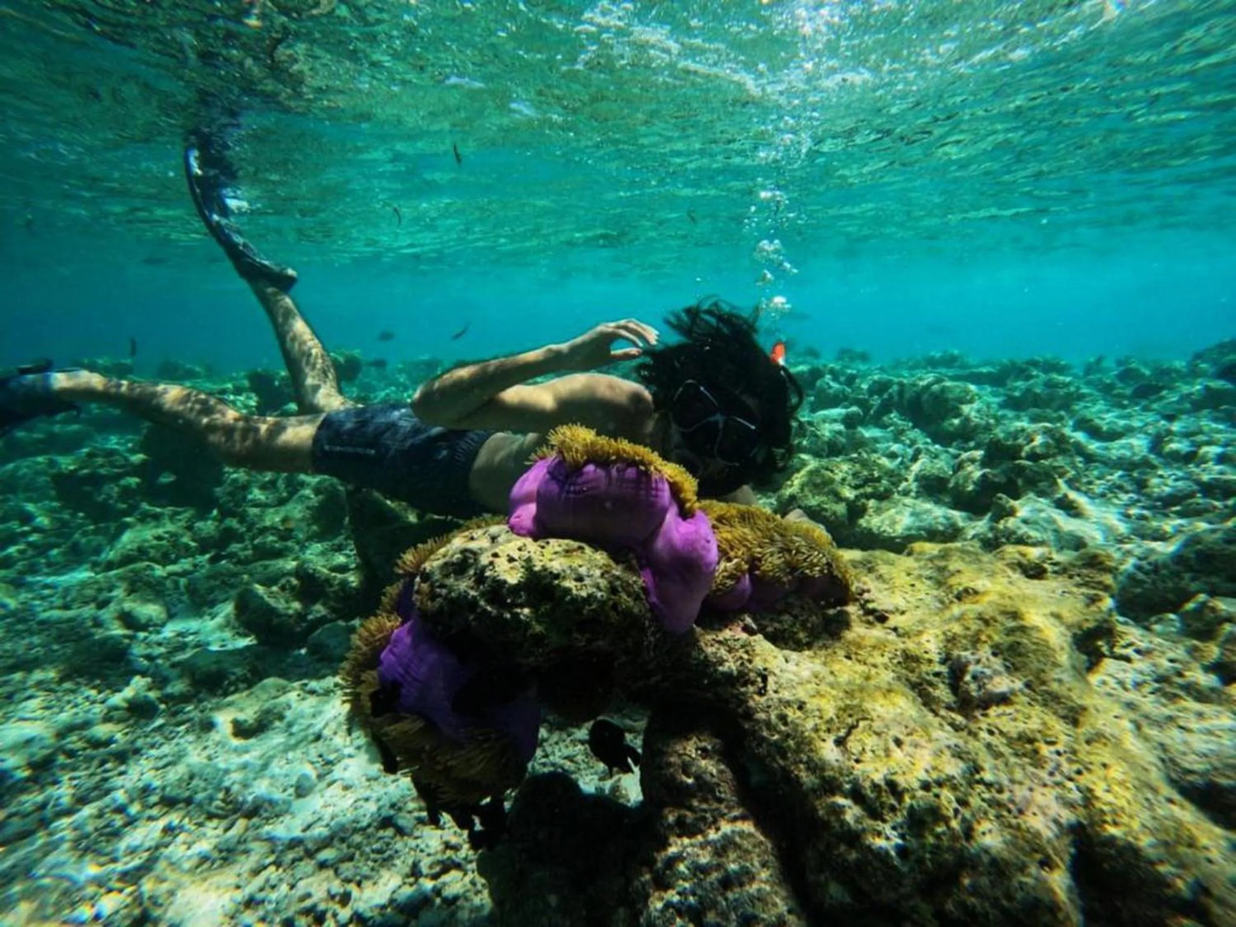 People in Adroit Beach Inn