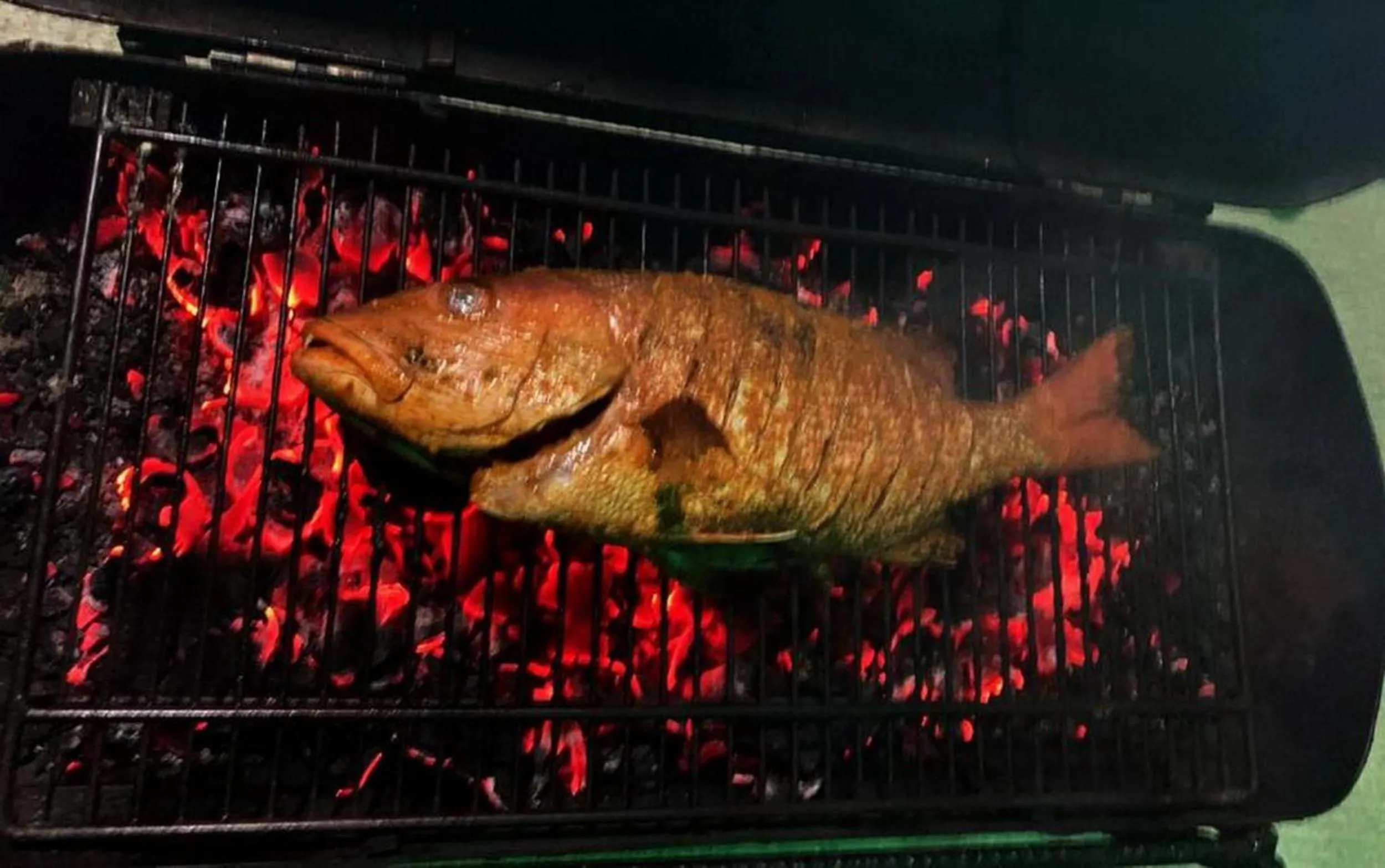 BBQ facilities in Adroit Beach Inn