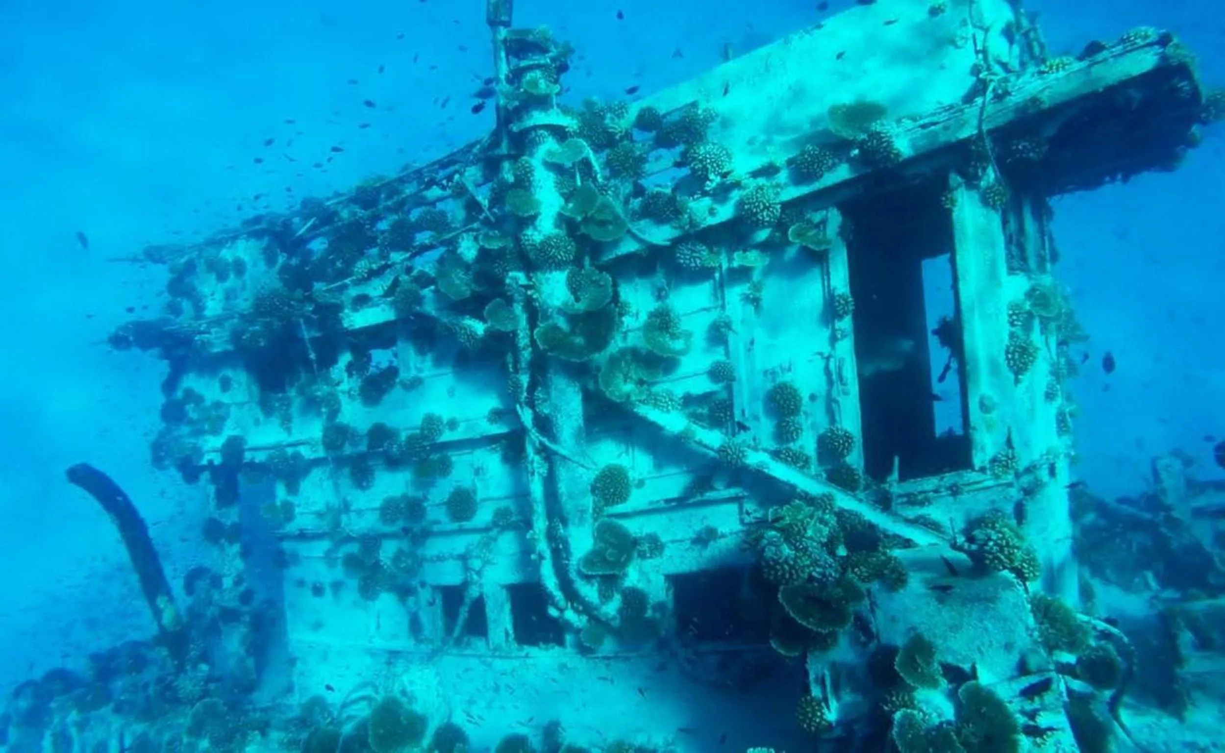 Natural landscape in Adroit Beach Inn