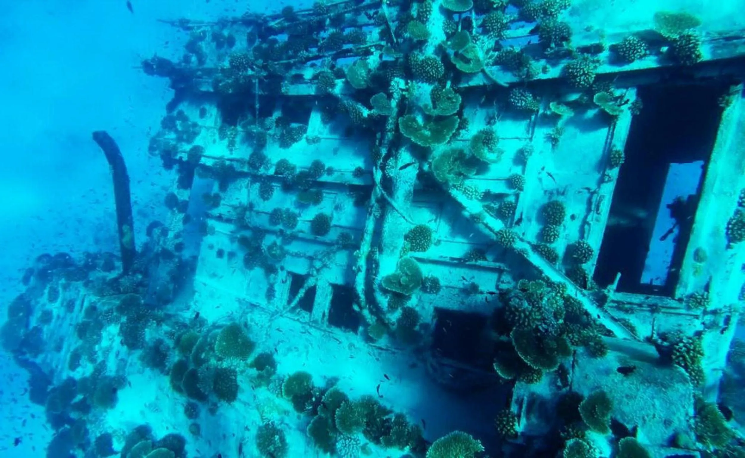 People in Adroit Beach Inn