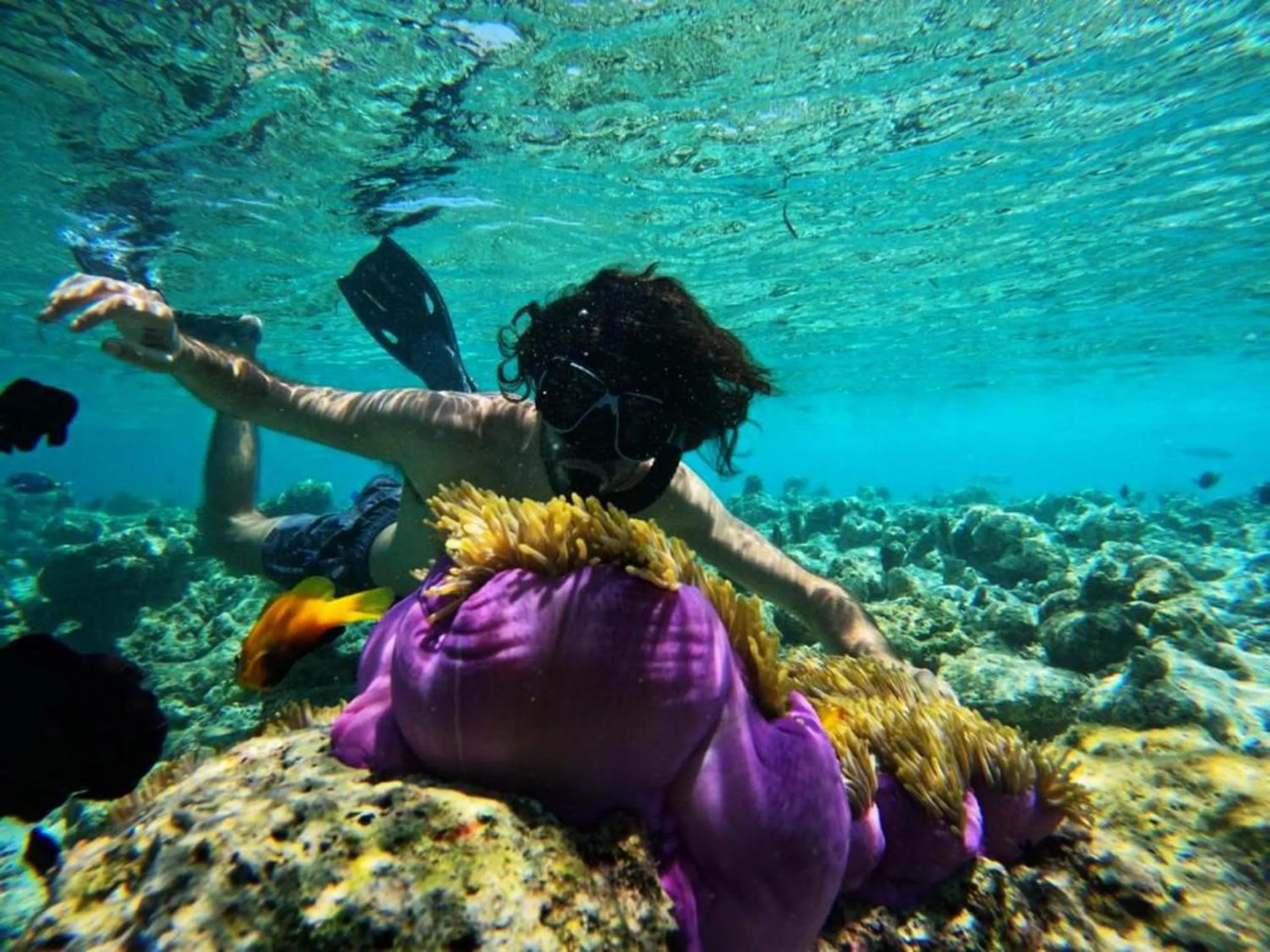 People in Adroit Beach Inn