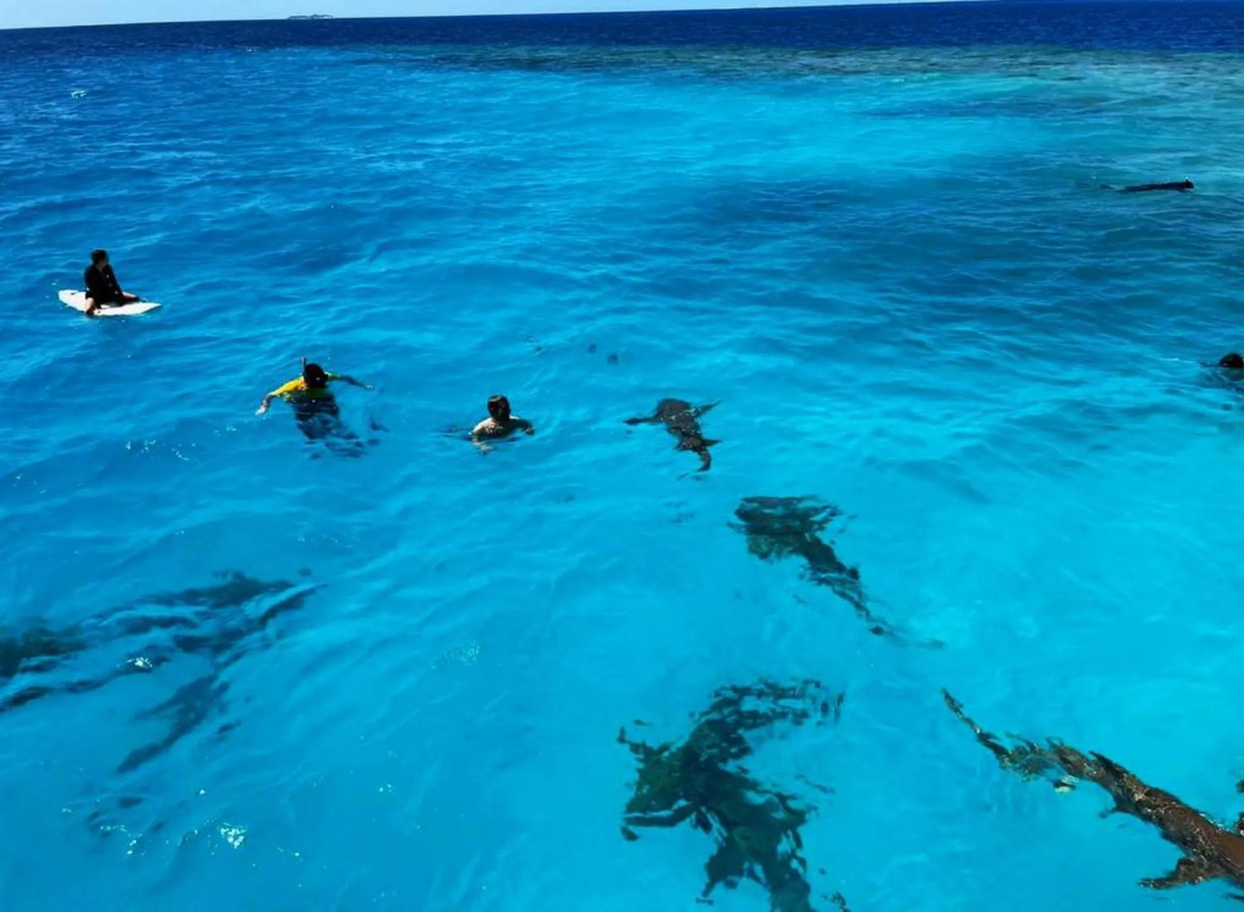 Day in Adroit Beach Inn