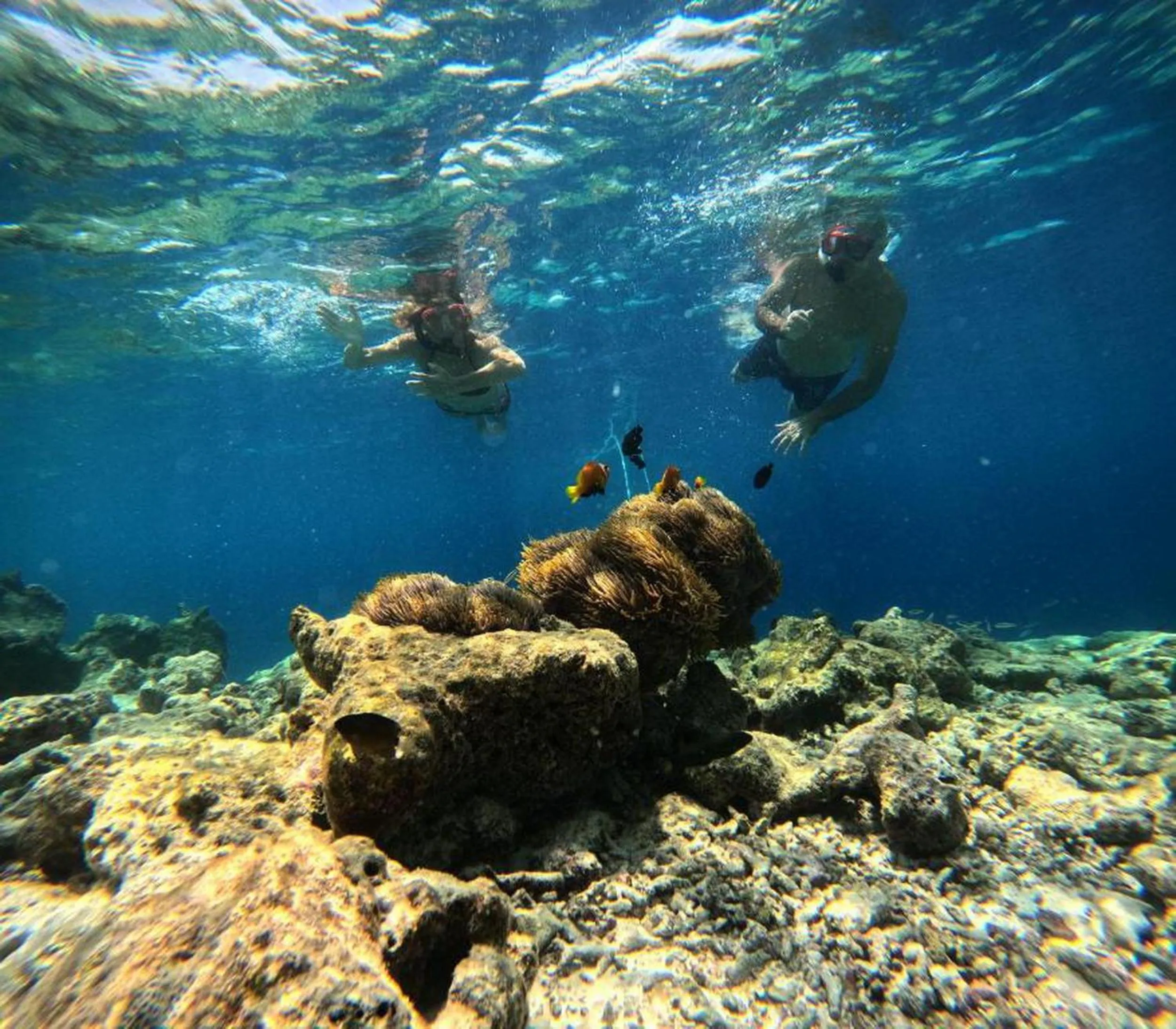 People in Adroit Beach Inn