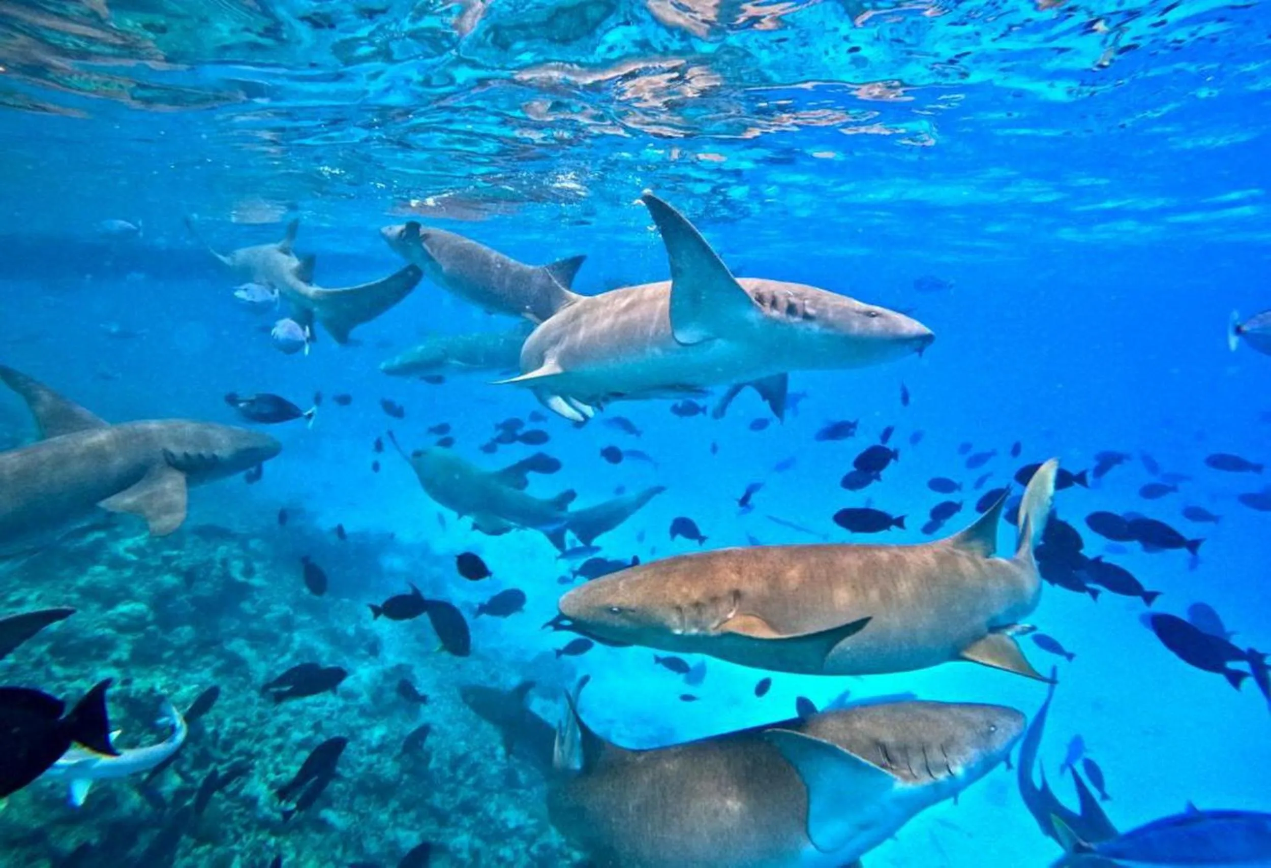 People in Adroit Beach Inn