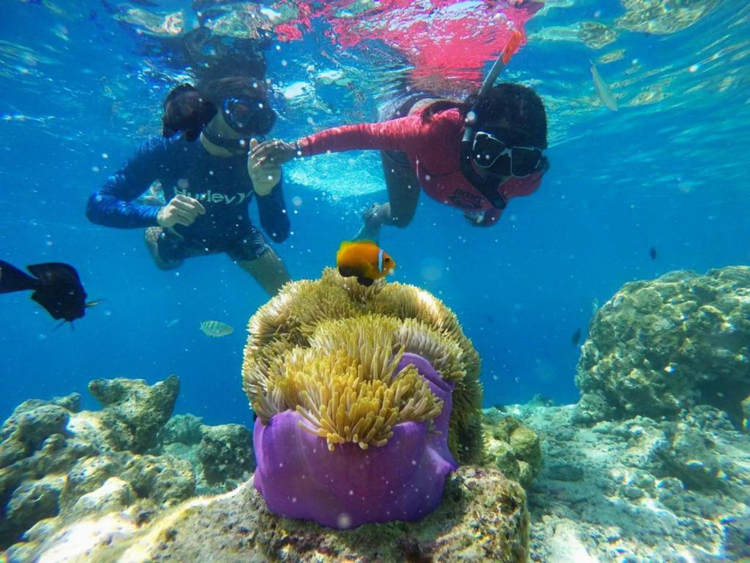 People in Adroit Beach Inn