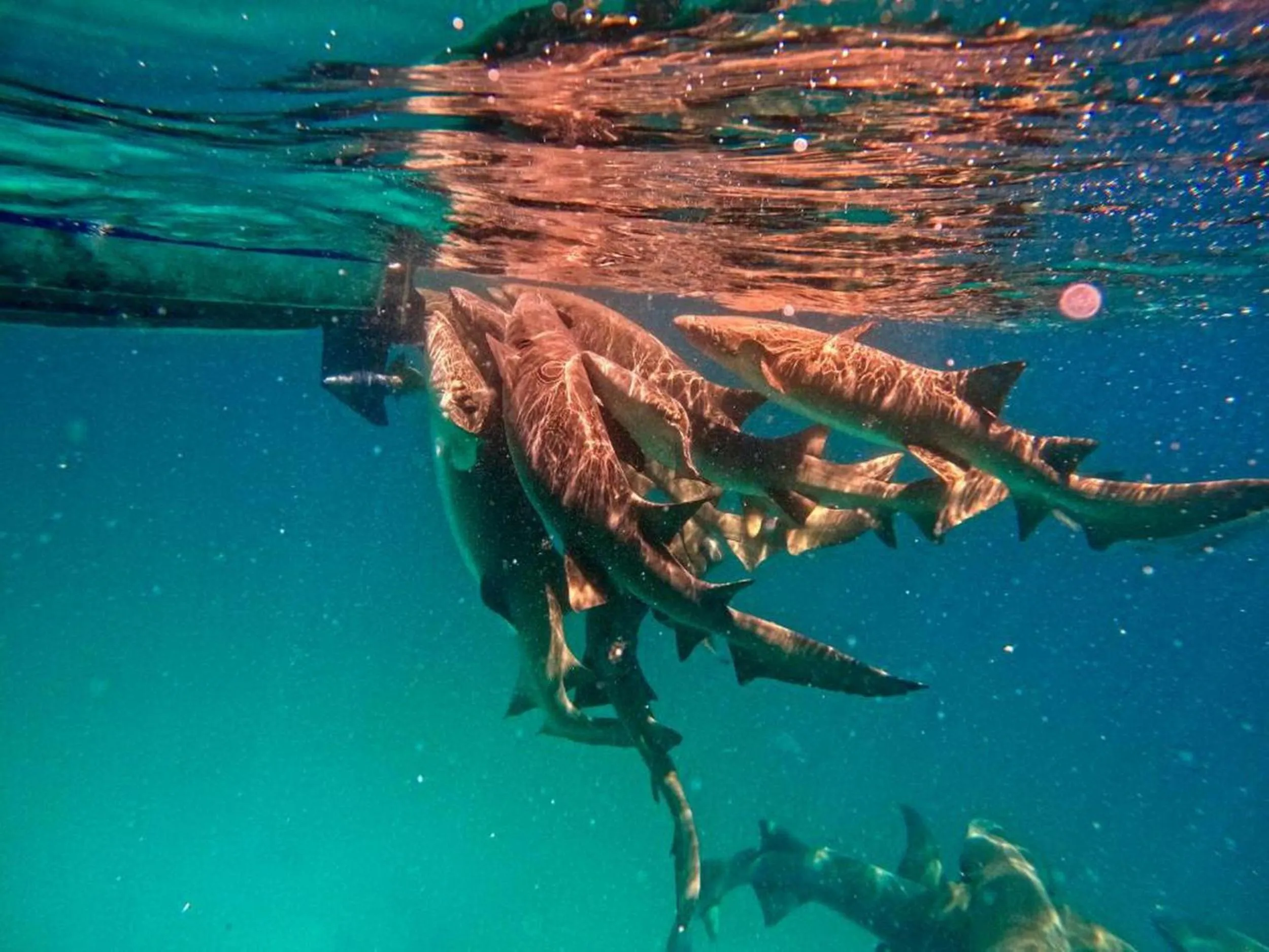 People in Adroit Beach Inn