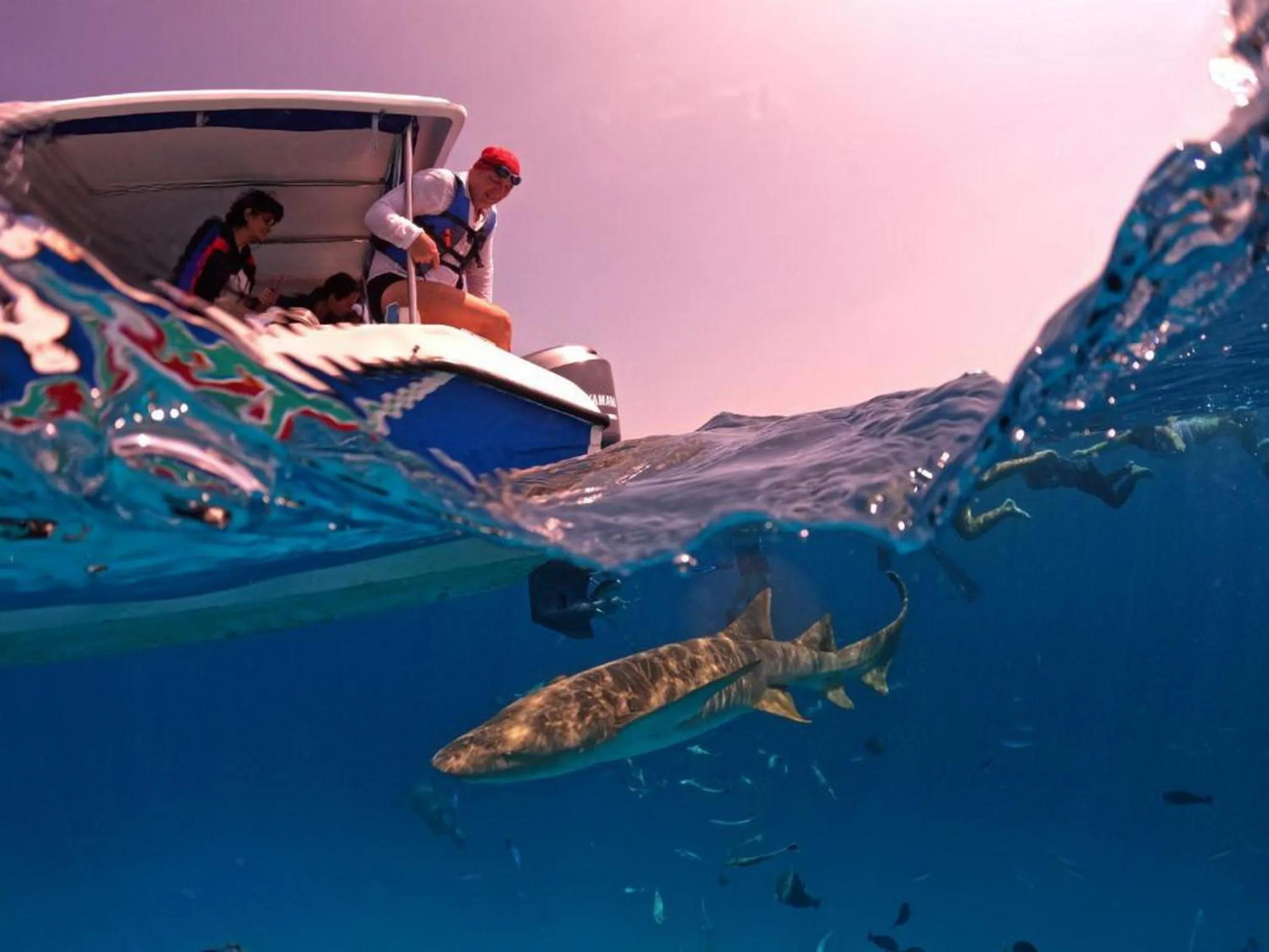 People in Adroit Beach Inn