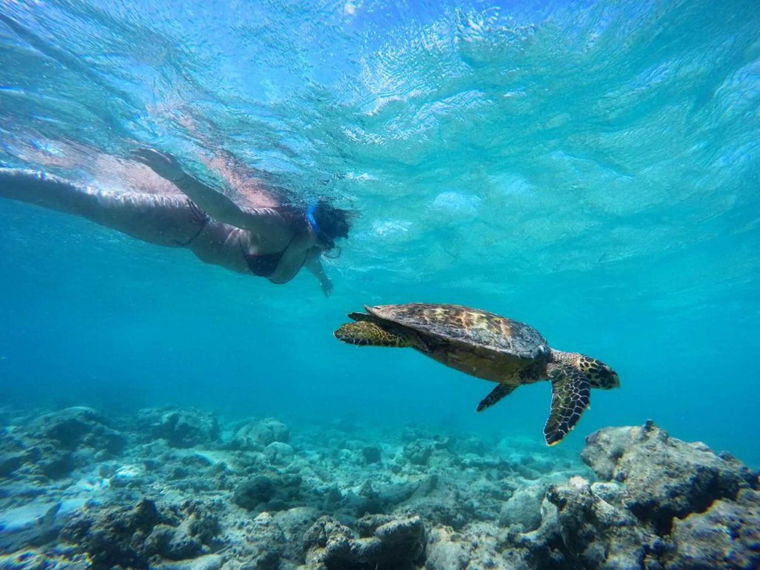 People in Adroit Beach Inn