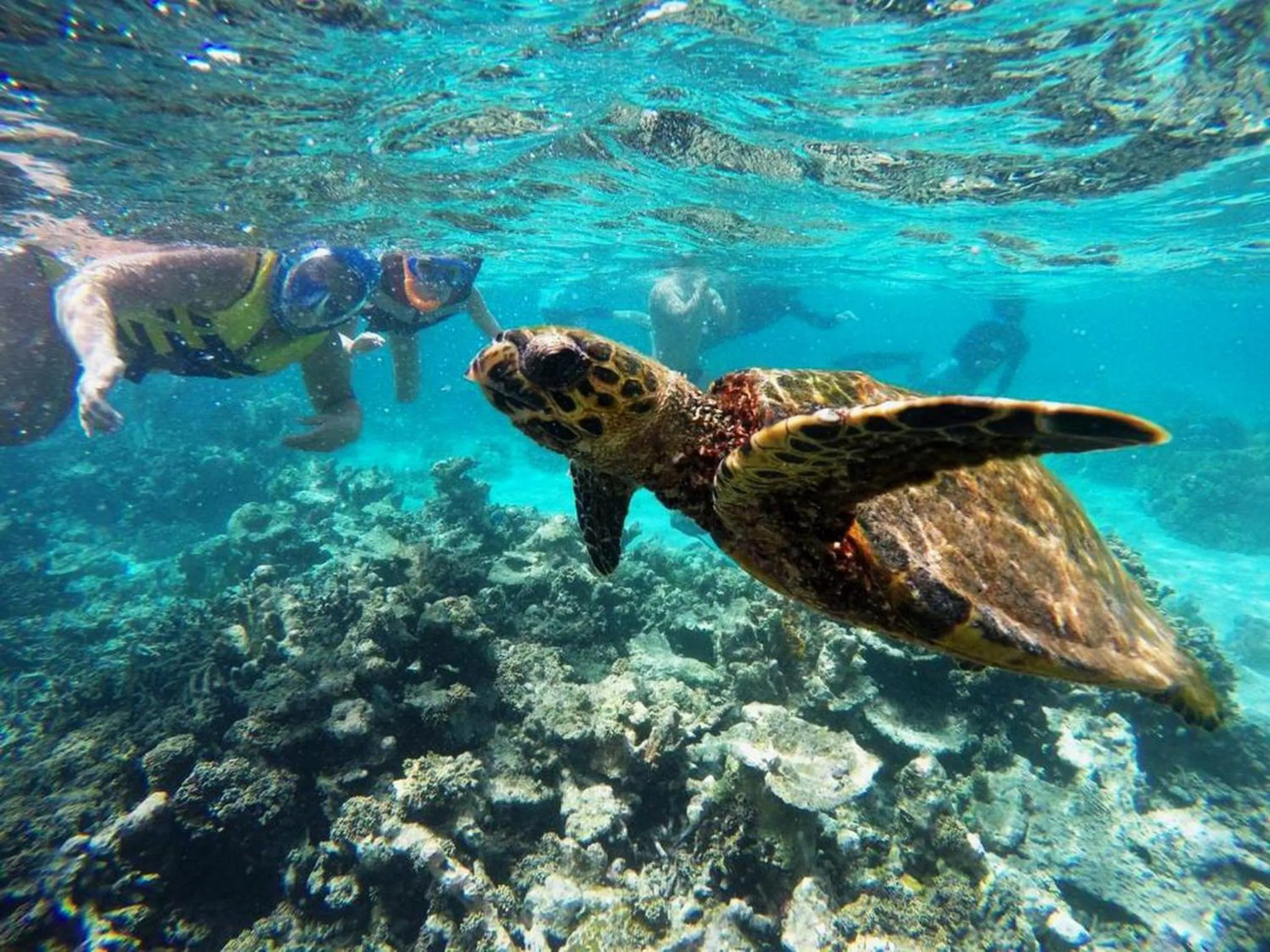 People in Adroit Beach Inn
