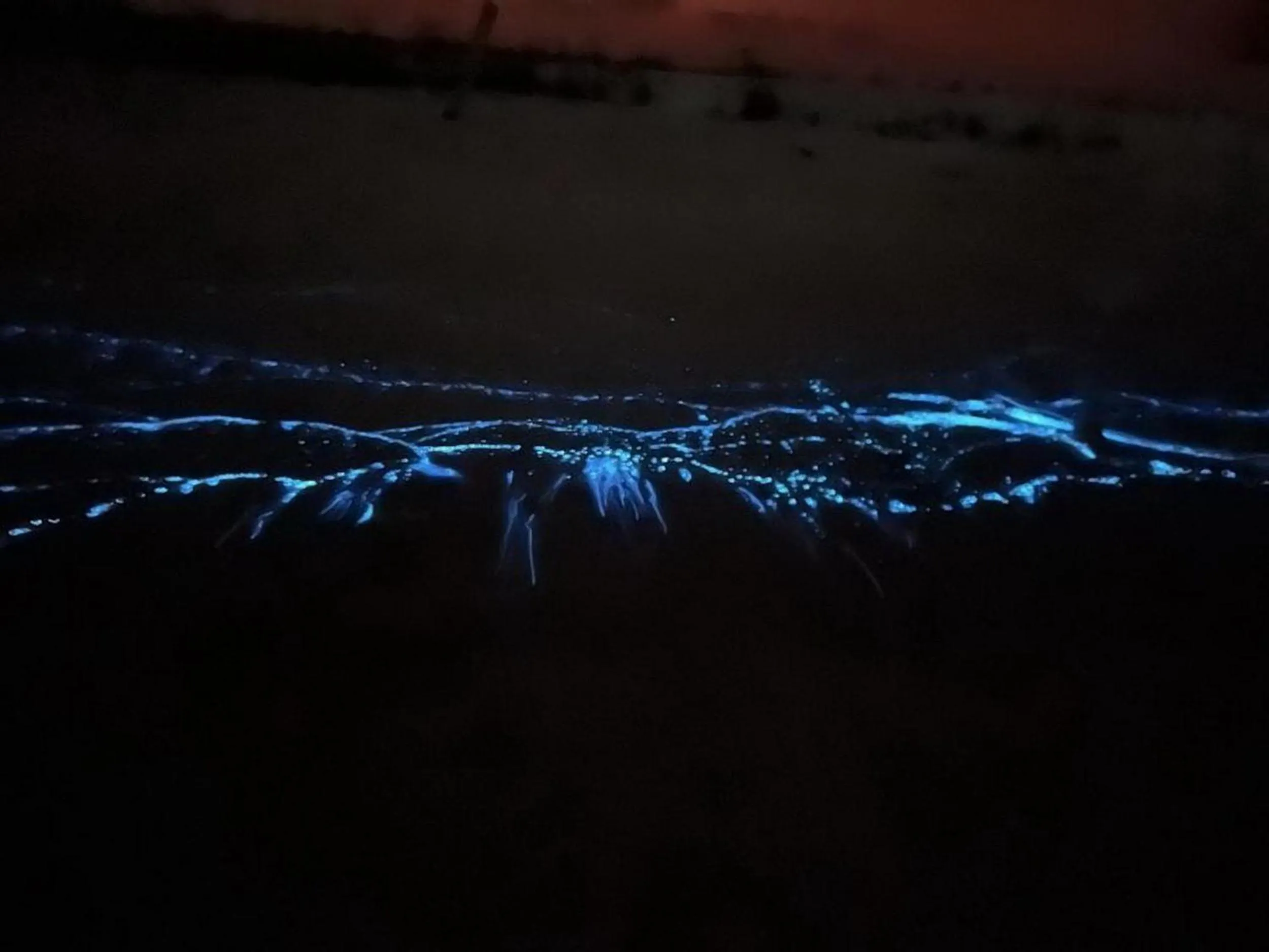 Night in Adroit Beach Inn