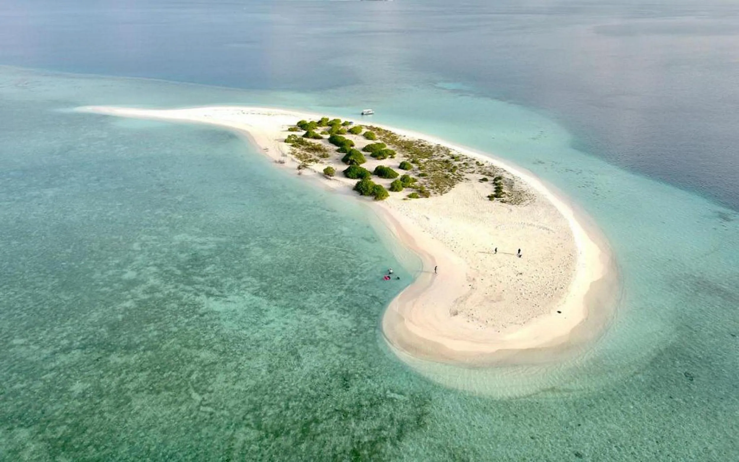 Day in Adroit Beach Inn