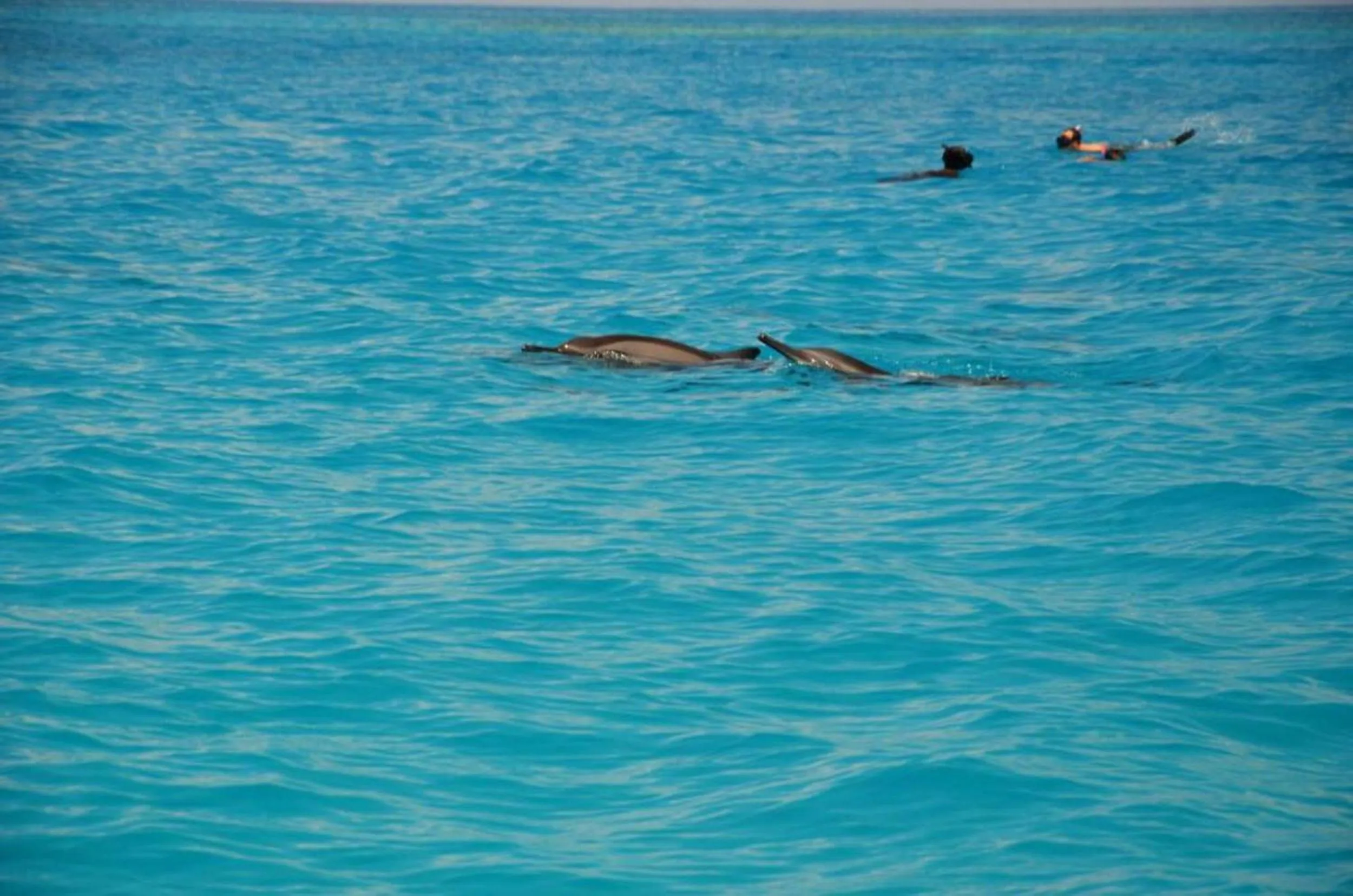 Day in Adroit Beach Inn