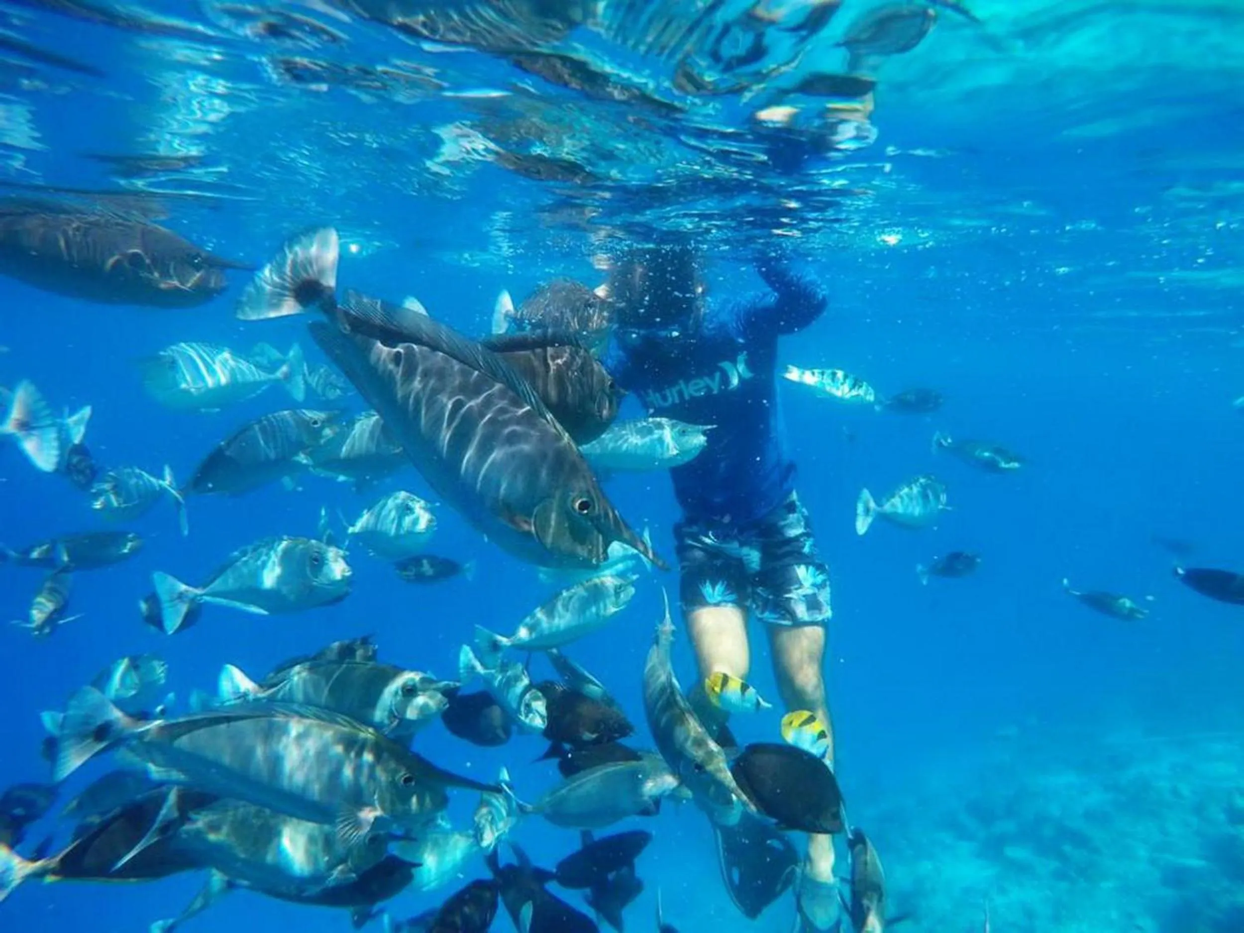 People in Adroit Beach Inn