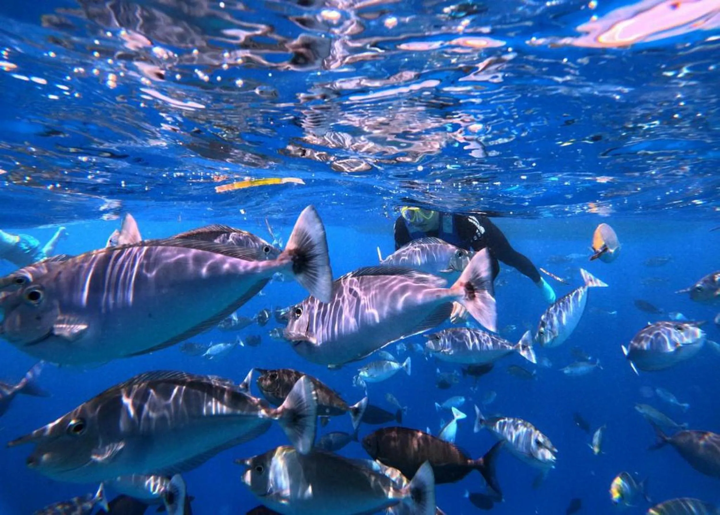 People in Adroit Beach Inn