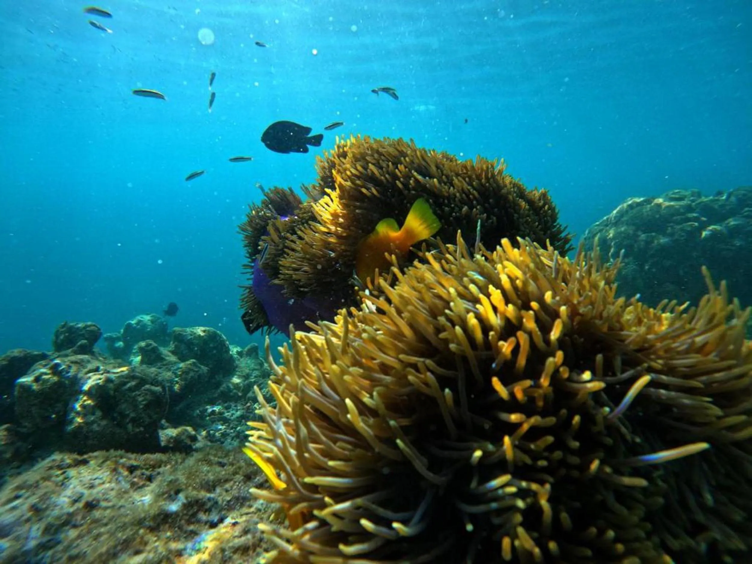 Natural landscape in Adroit Beach Inn
