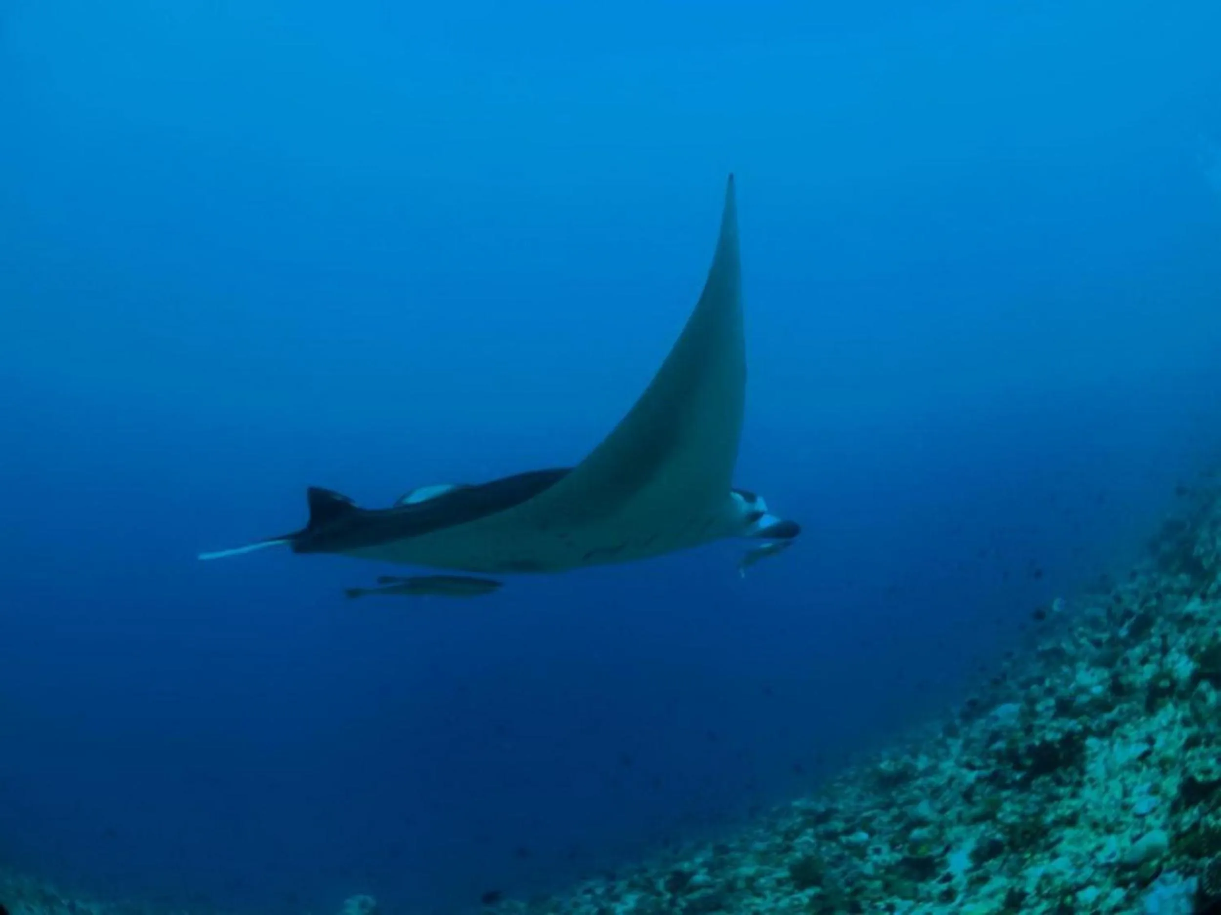 People in Adroit Beach Inn