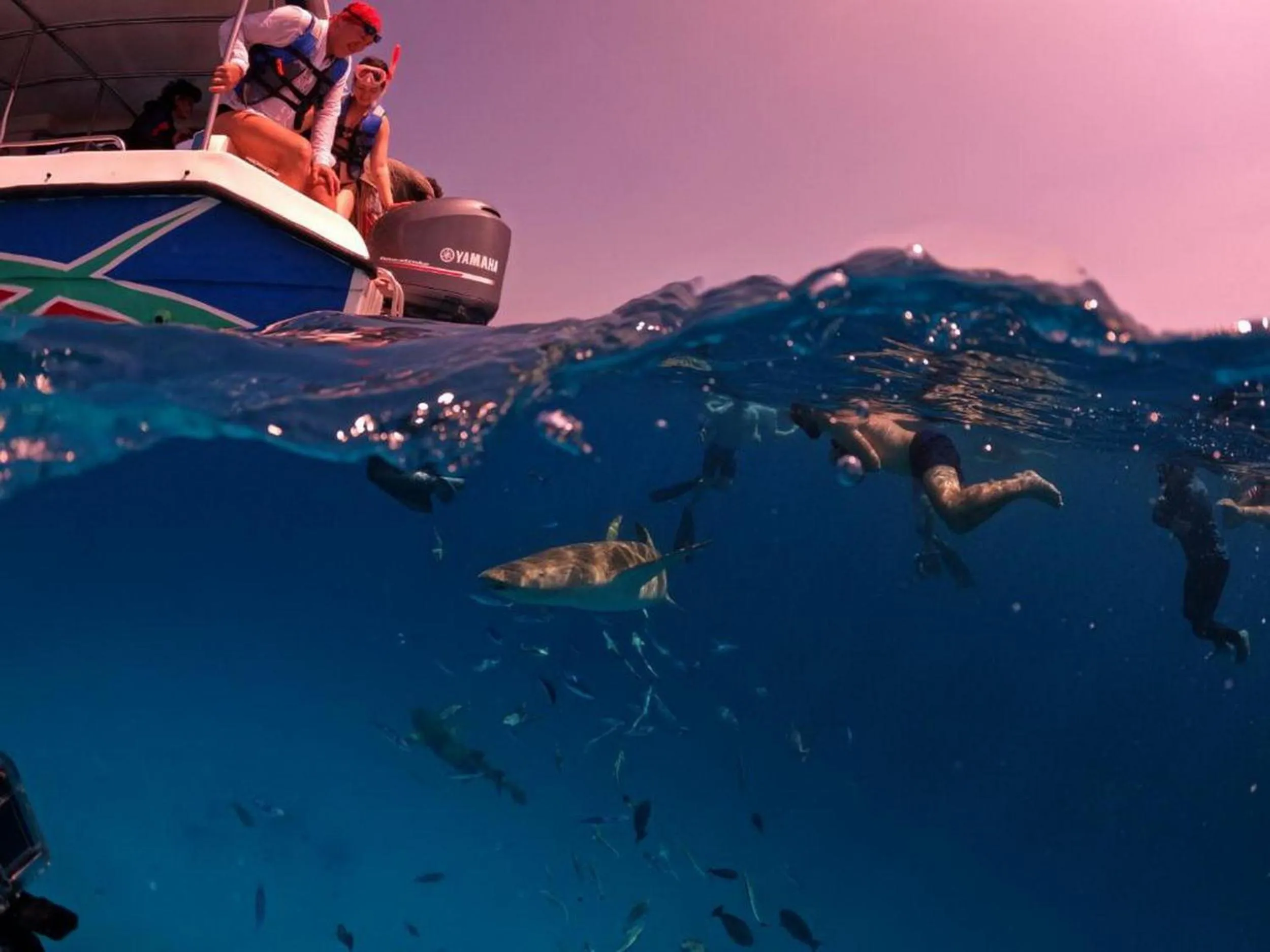 People in Adroit Beach Inn