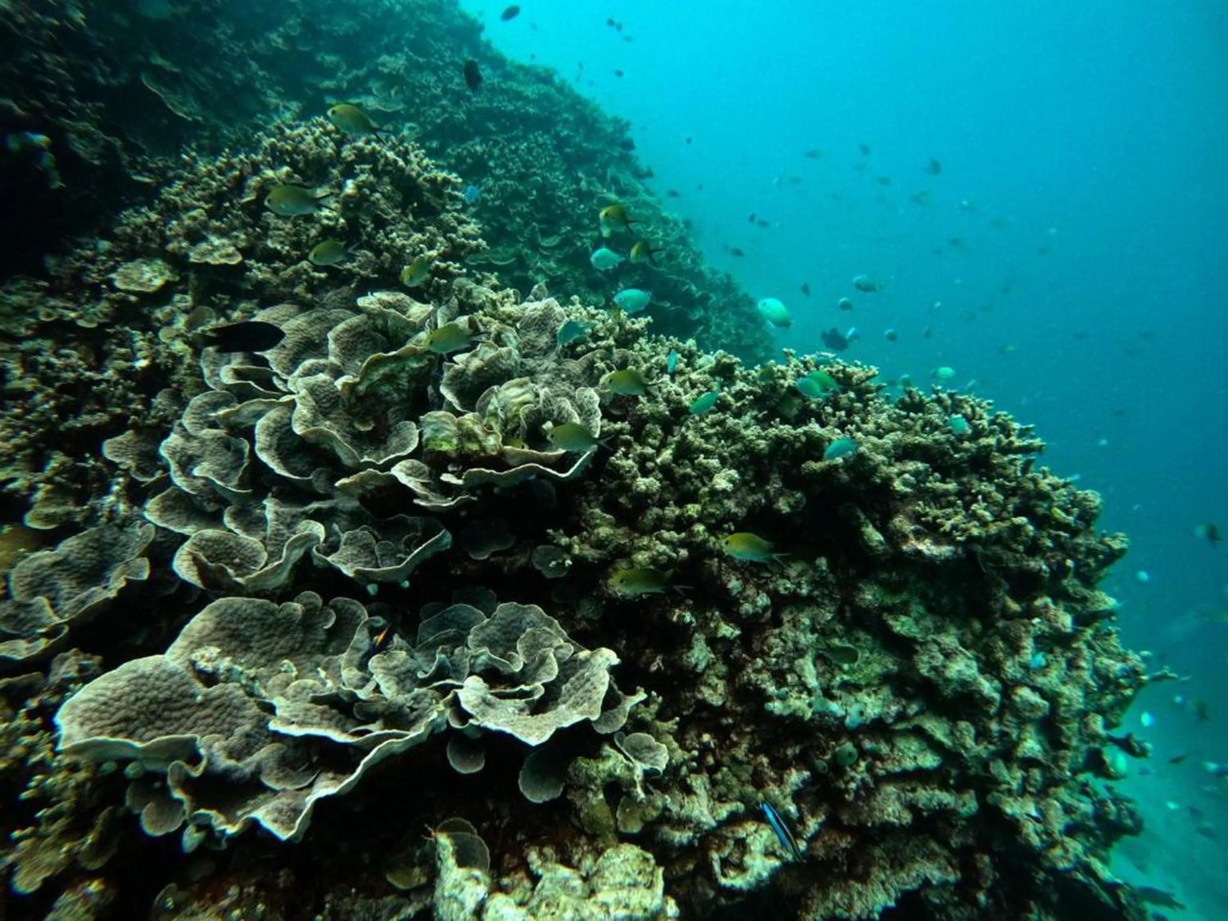 Natural landscape in Adroit Beach Inn