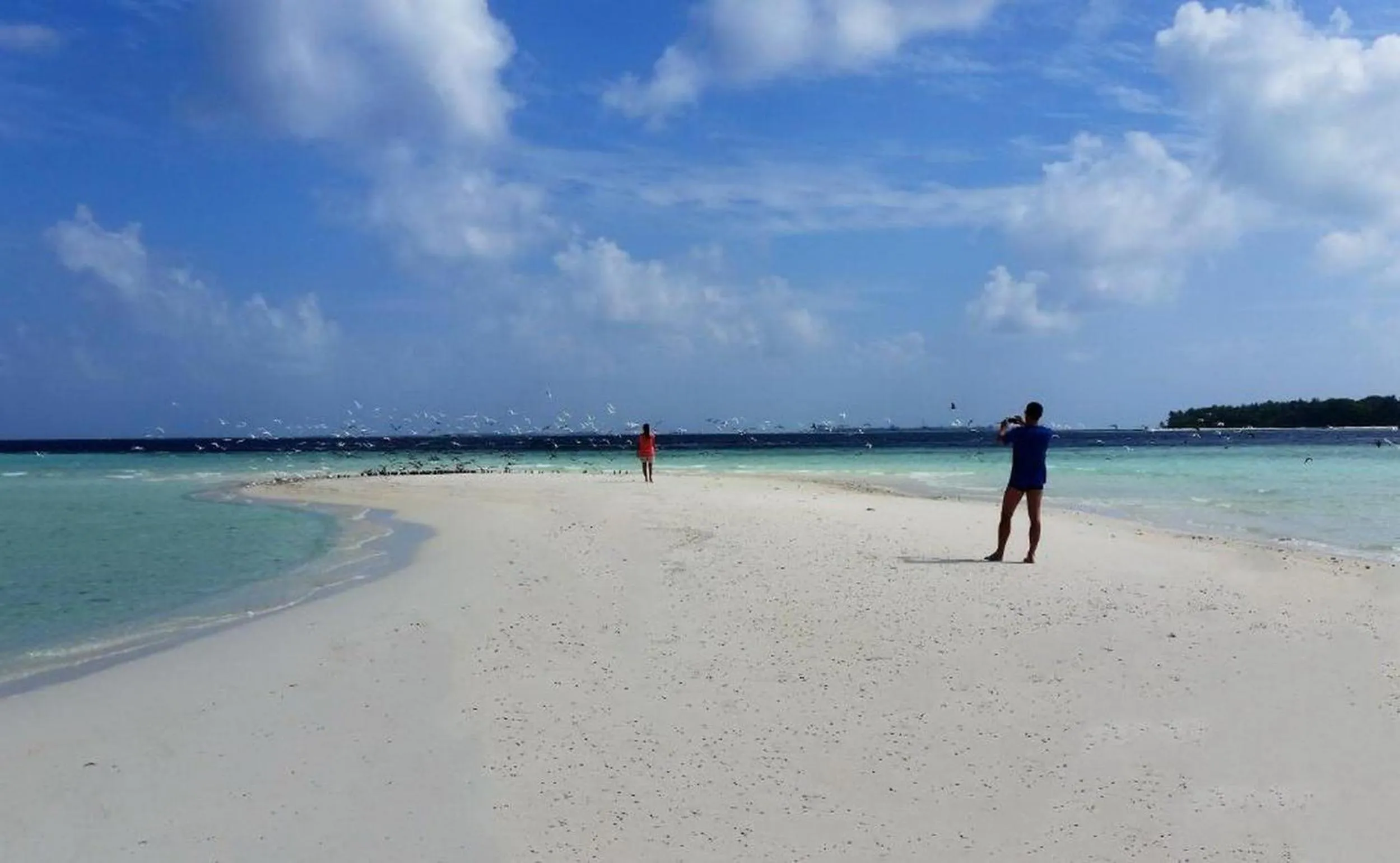 Day in Adroit Beach Inn